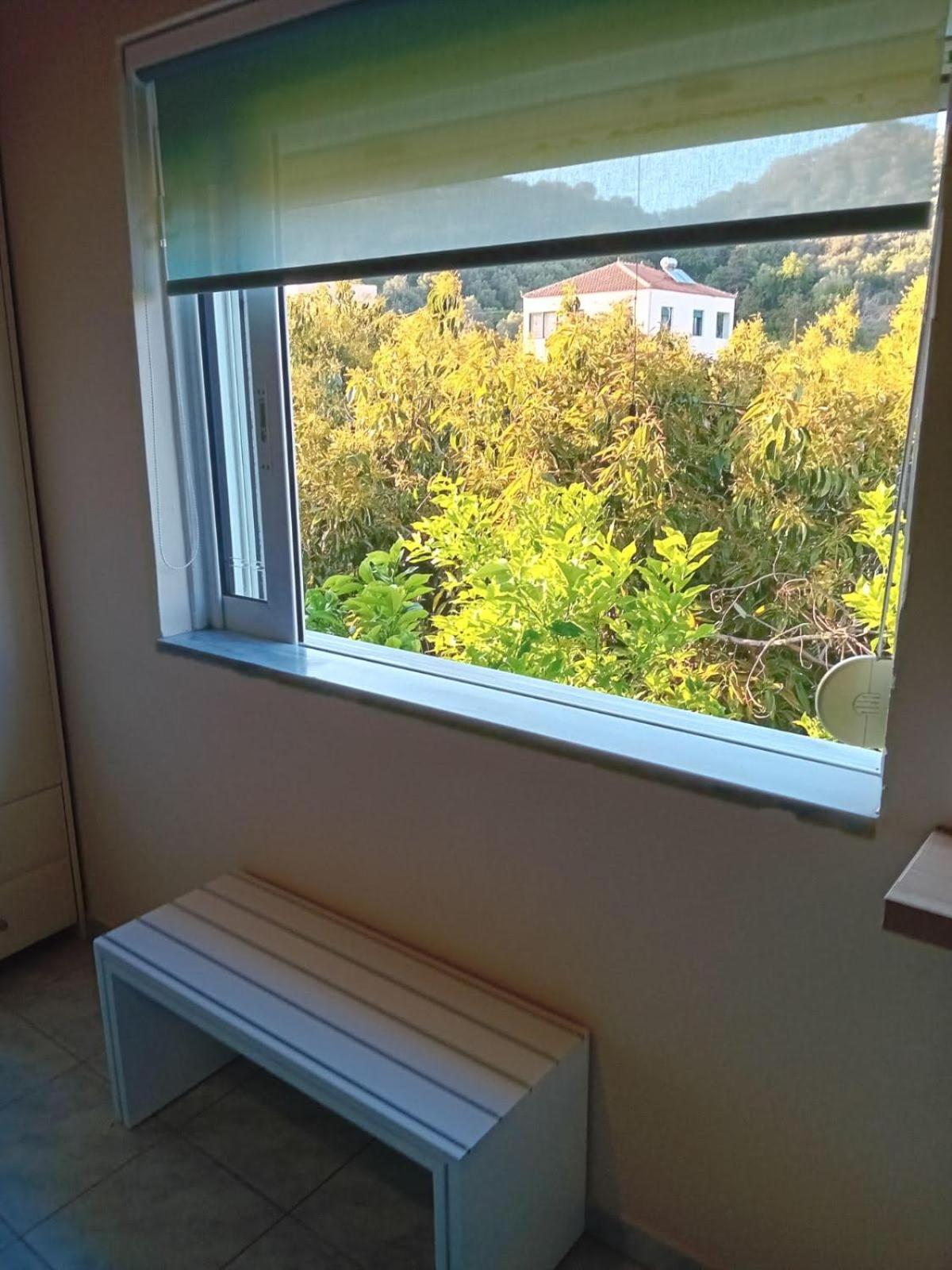 Aelia Village House