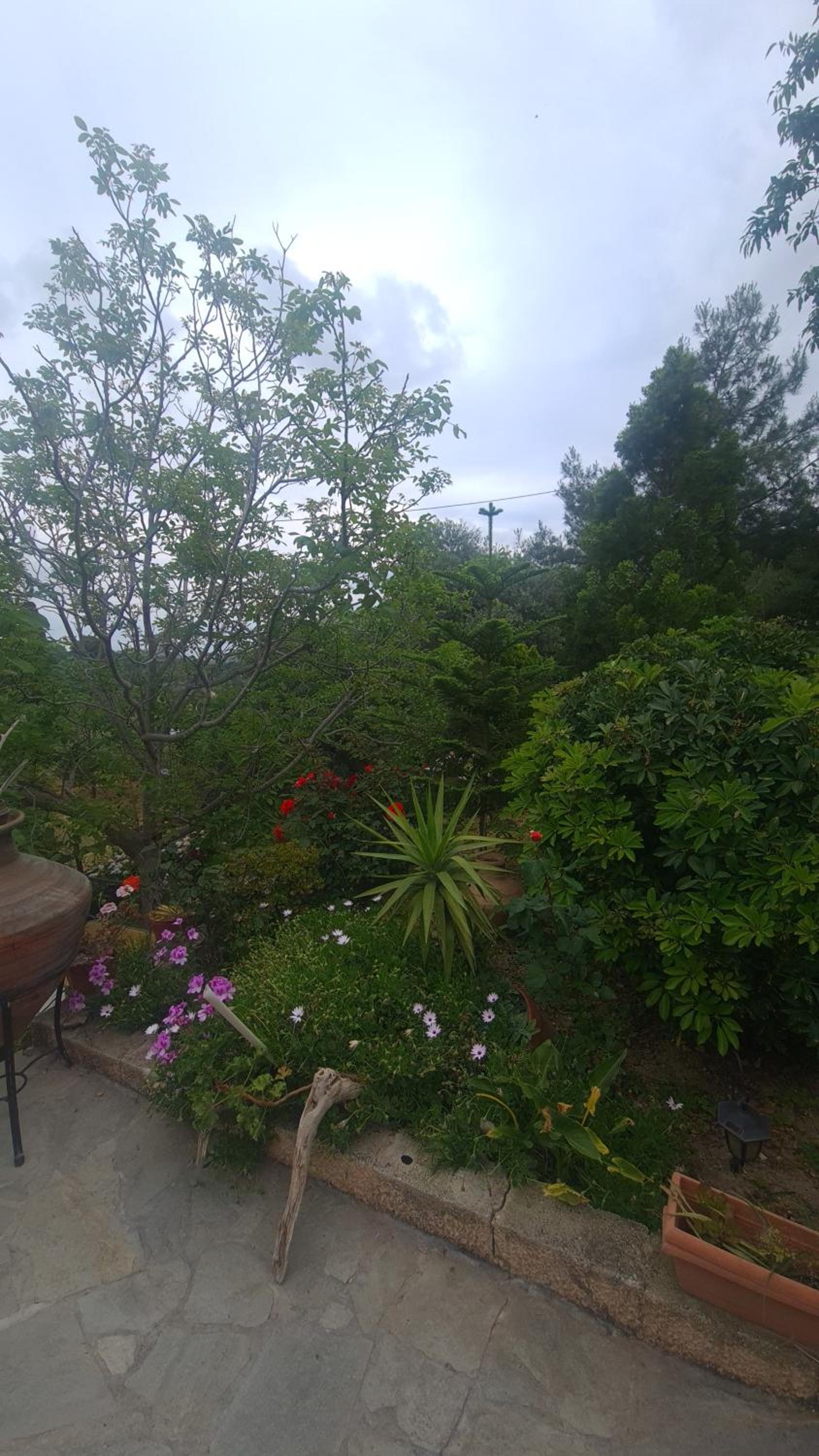Stratigato Garden Getaway near Chios Town