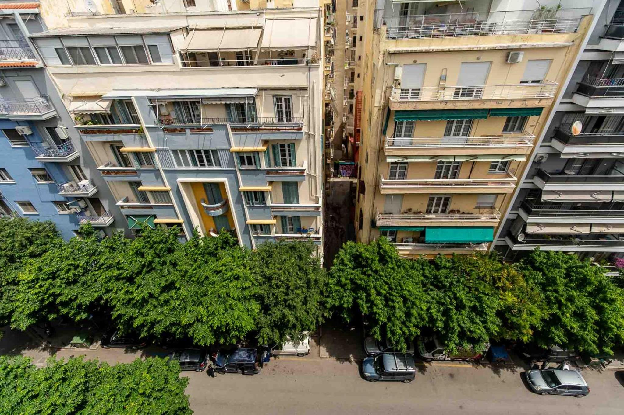 Urban Jungle