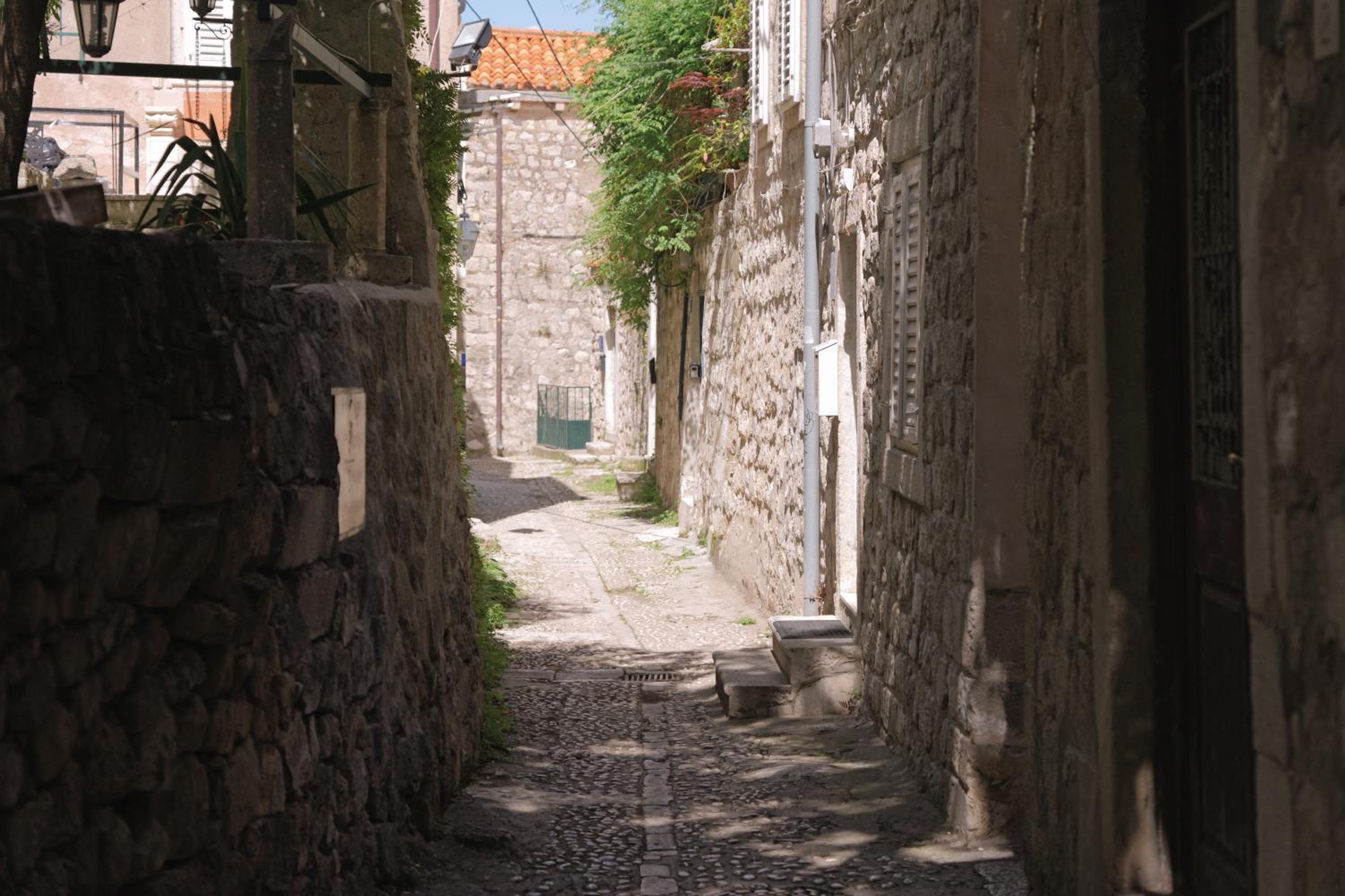 Old Town Green Oasis House