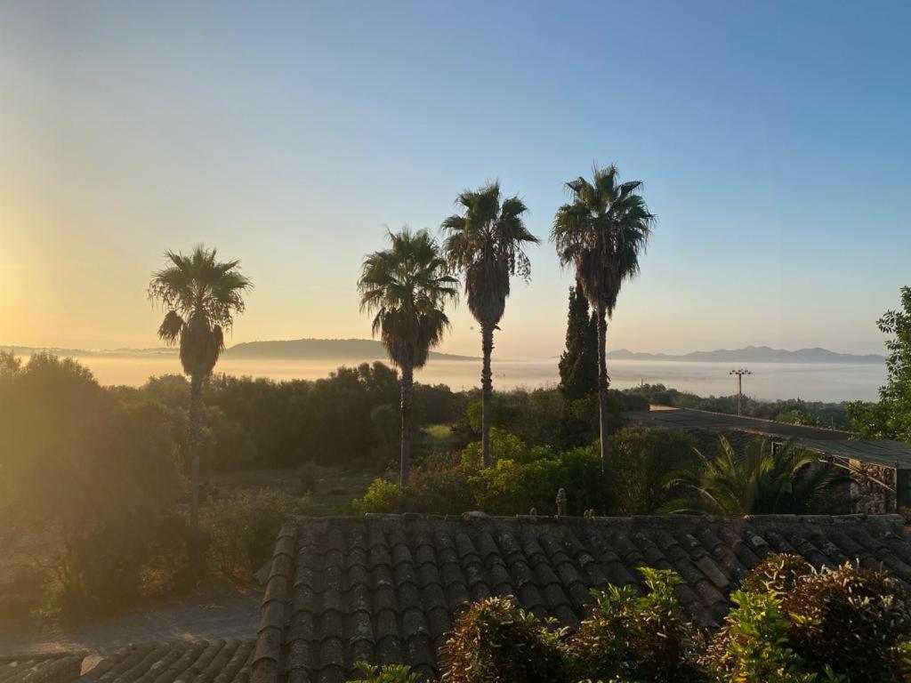Finca Sa Cova Vella