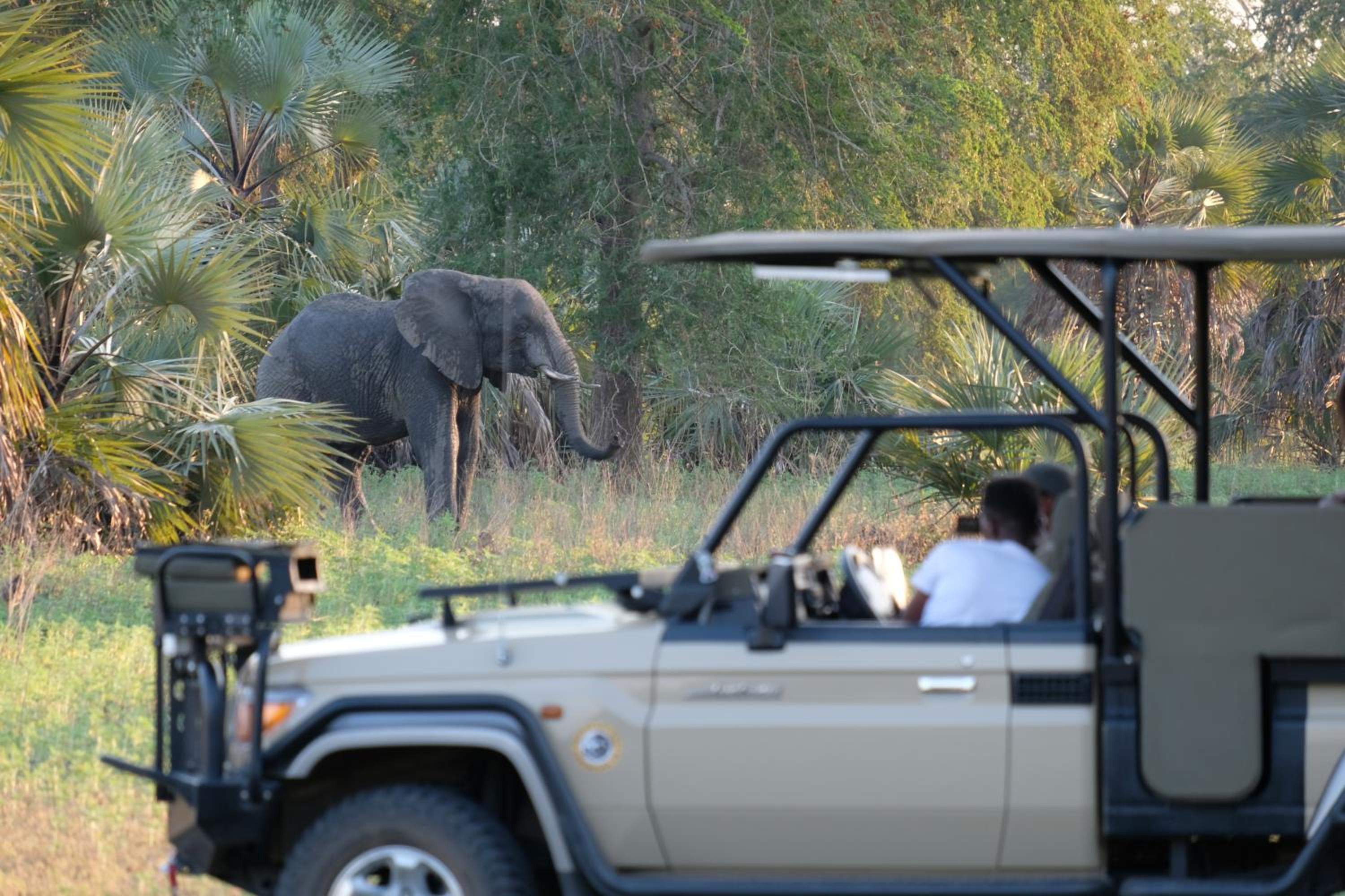 Gorongosa Wild Camp view 2
