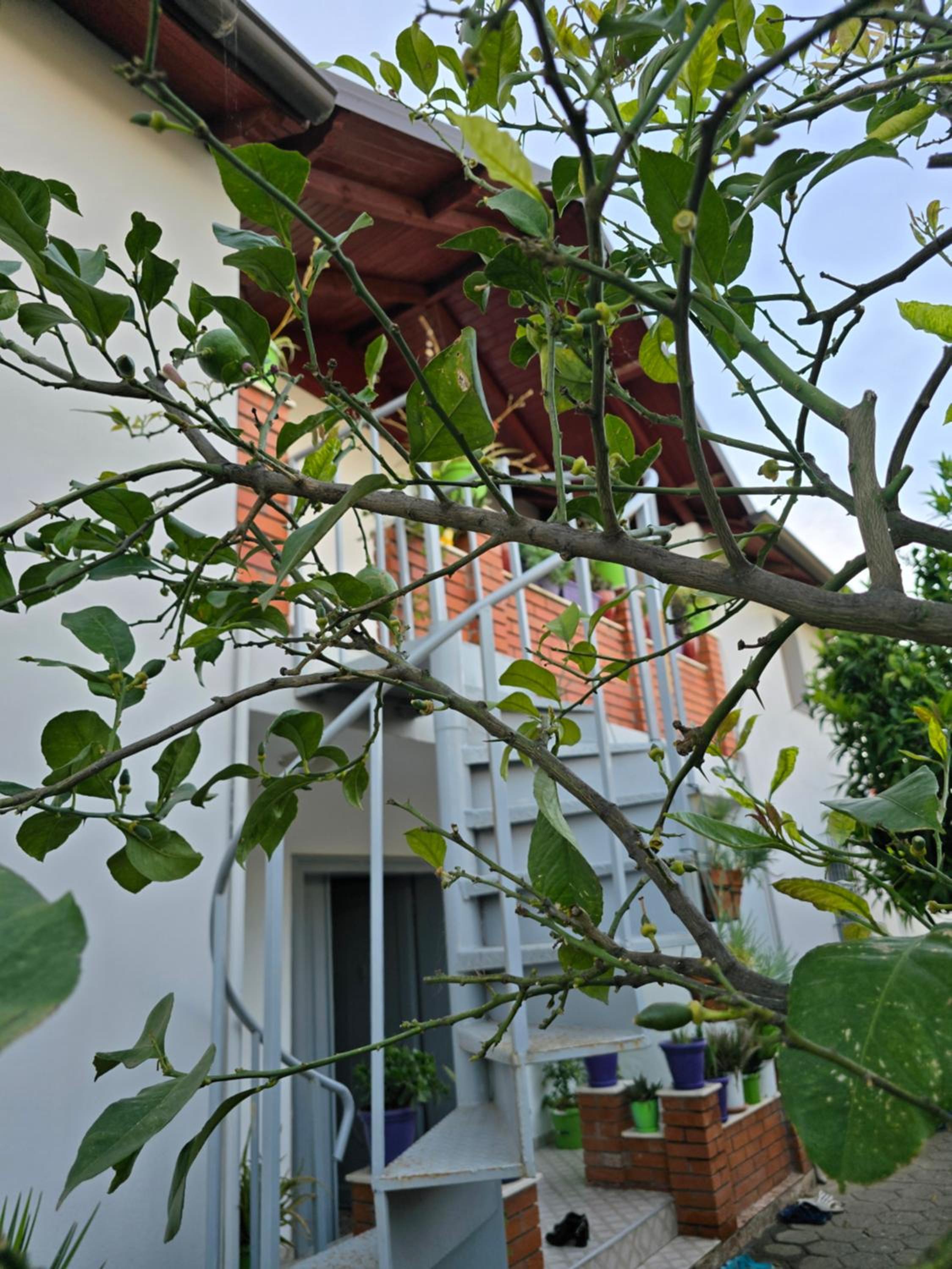 Eni's Villa