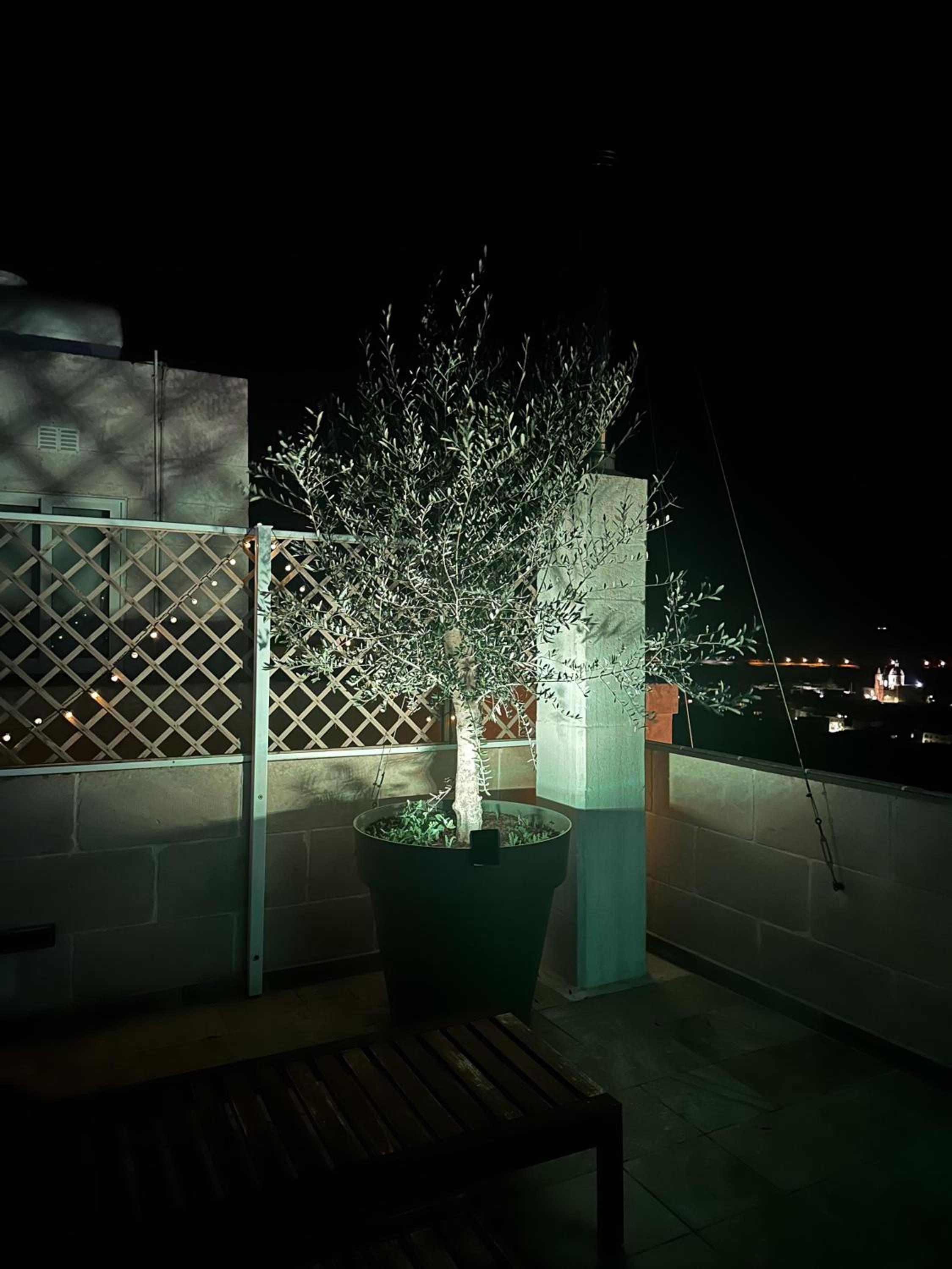 Photo 41