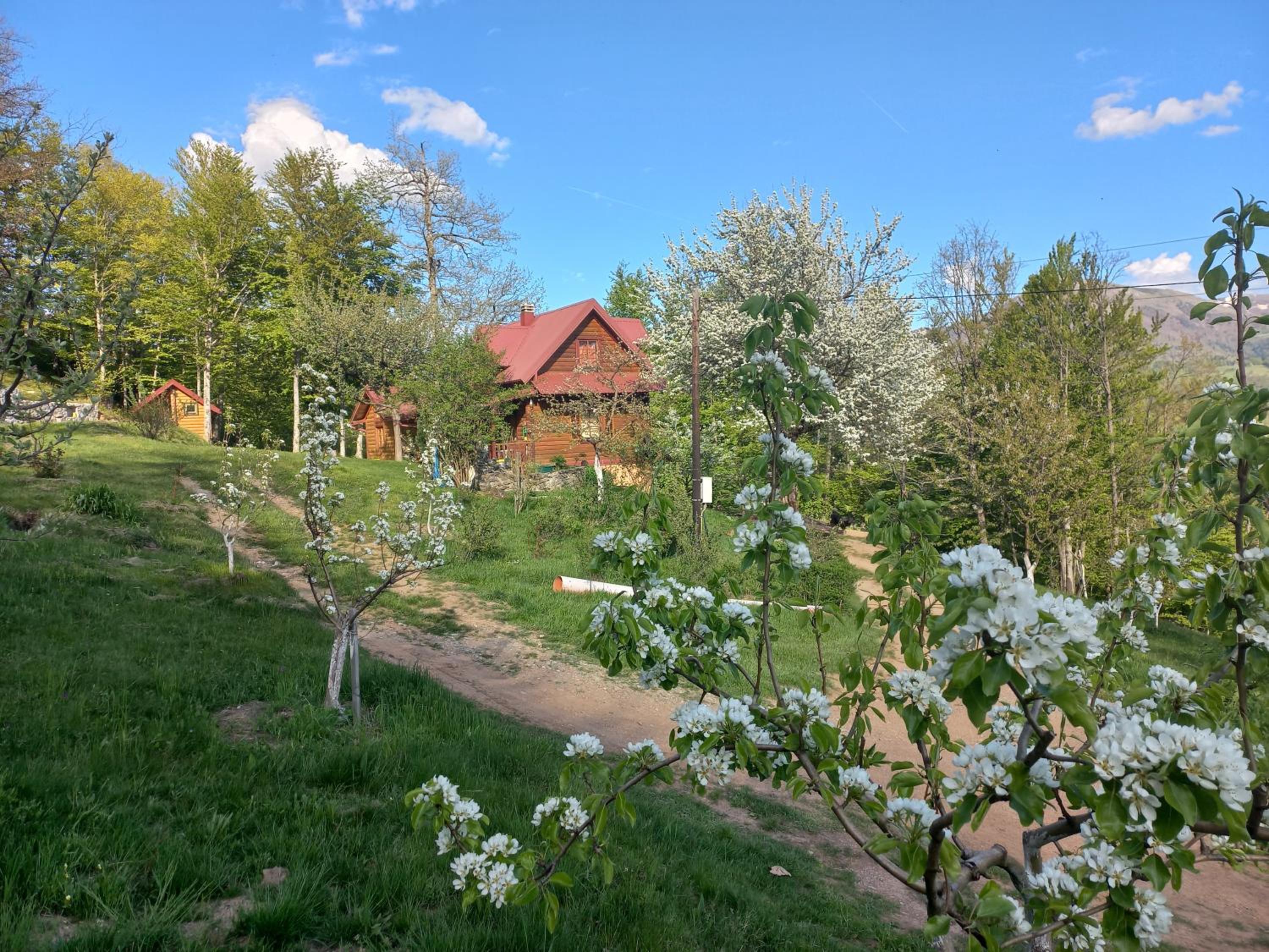 Photo 22