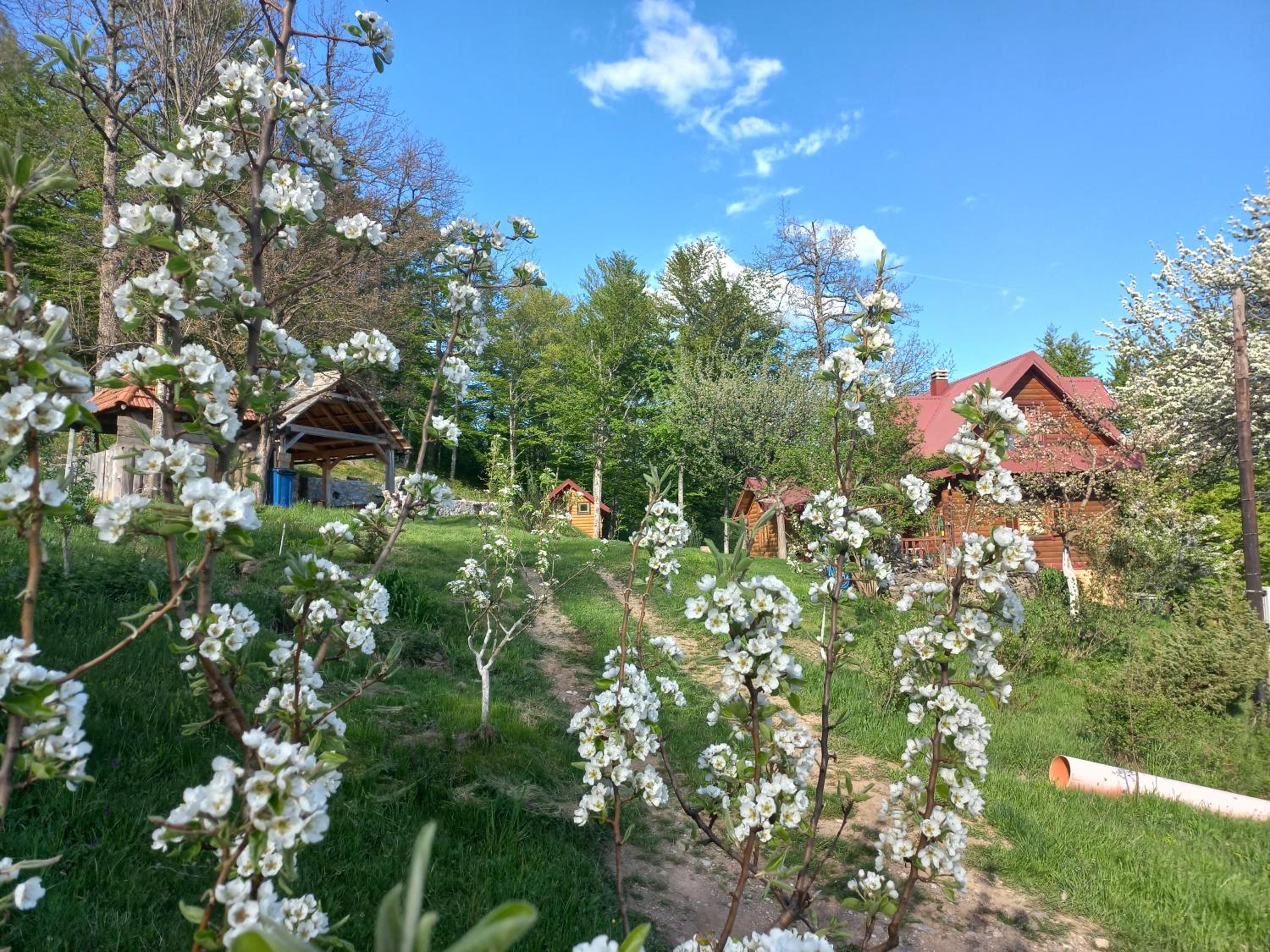 Photo 21