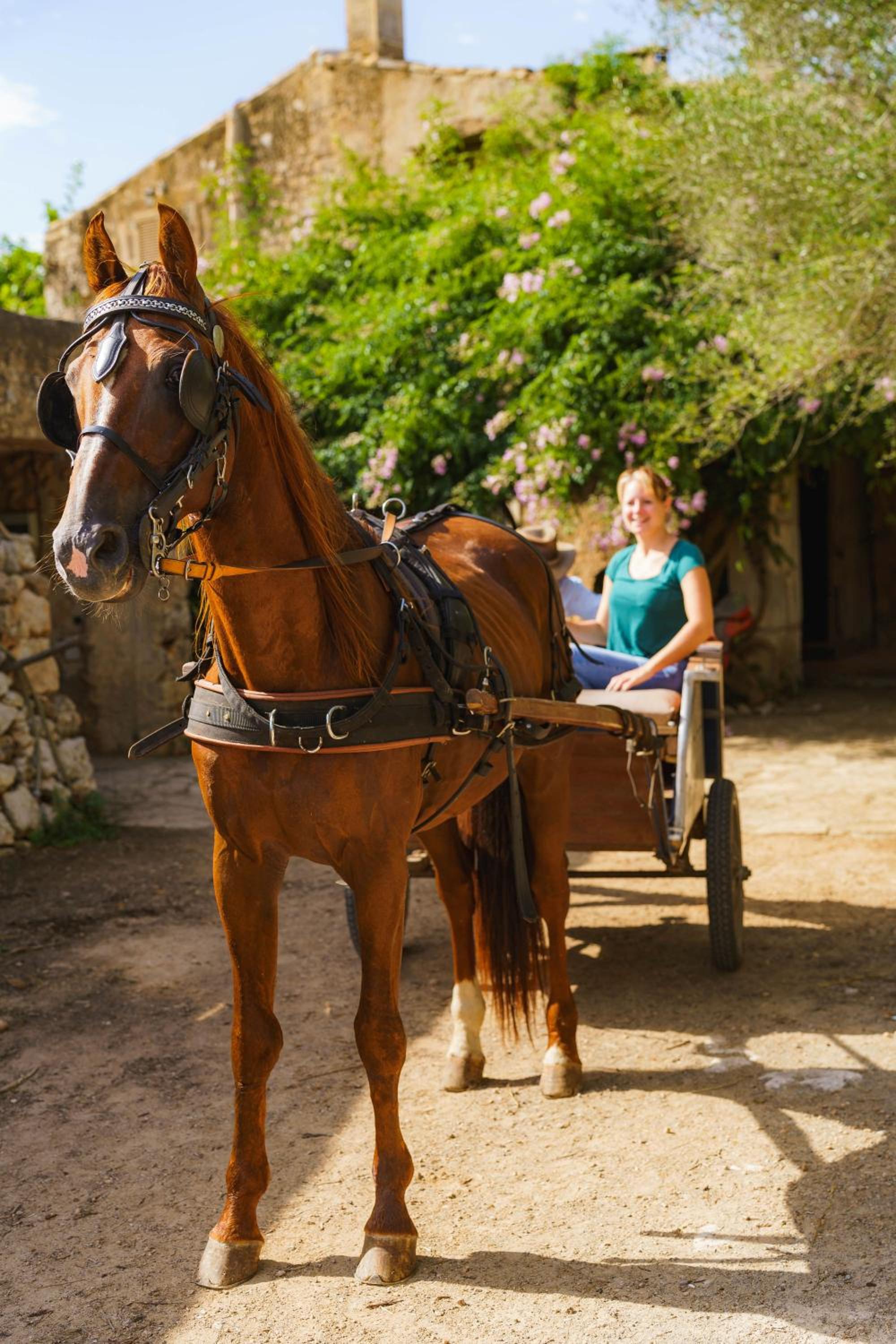 Finca Sa Cova Vella