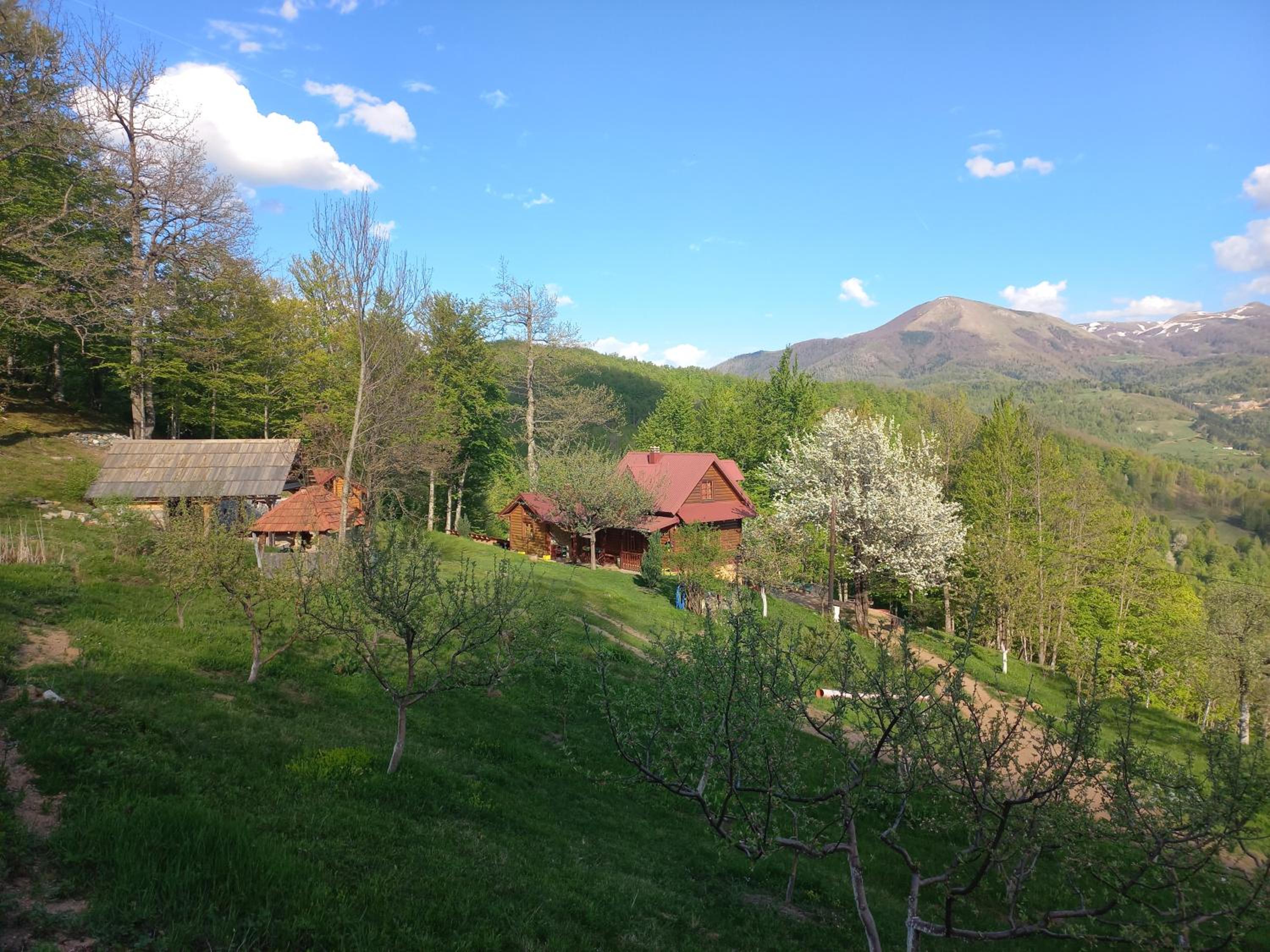 Photo 19