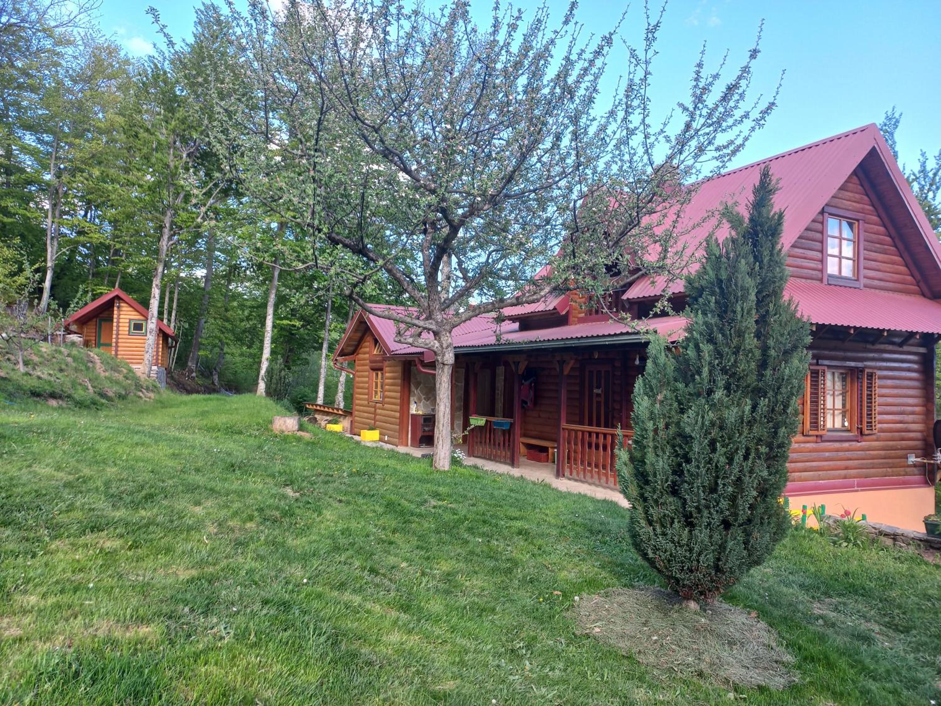 Photo 18