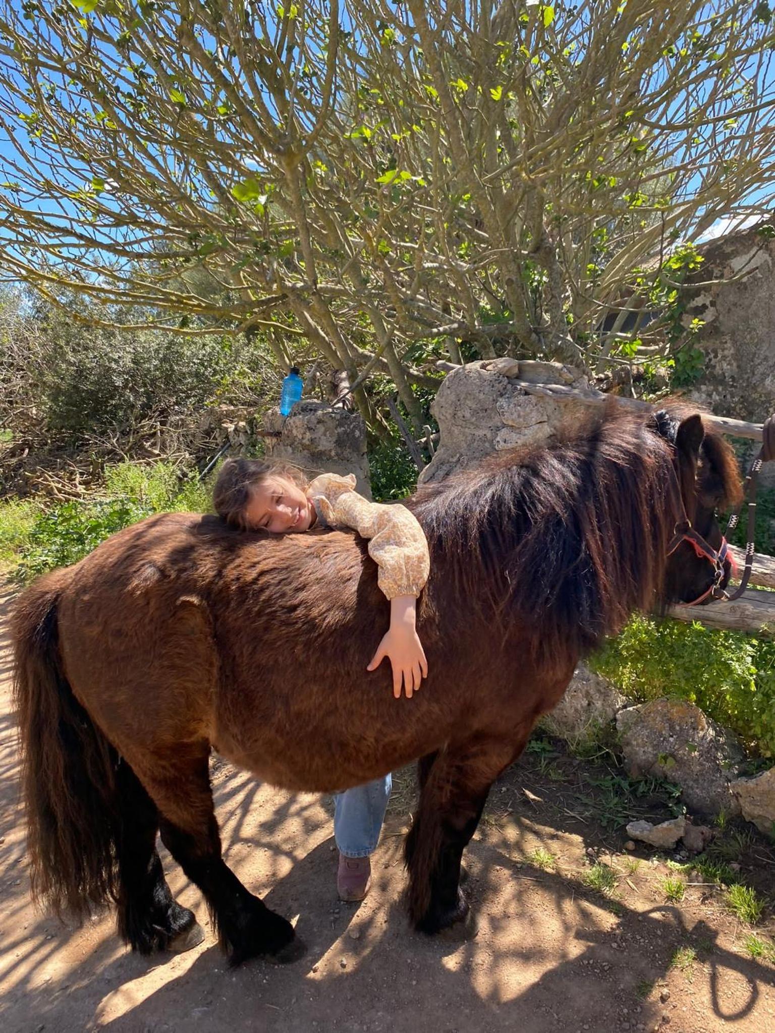 Finca Sa Cova Vella