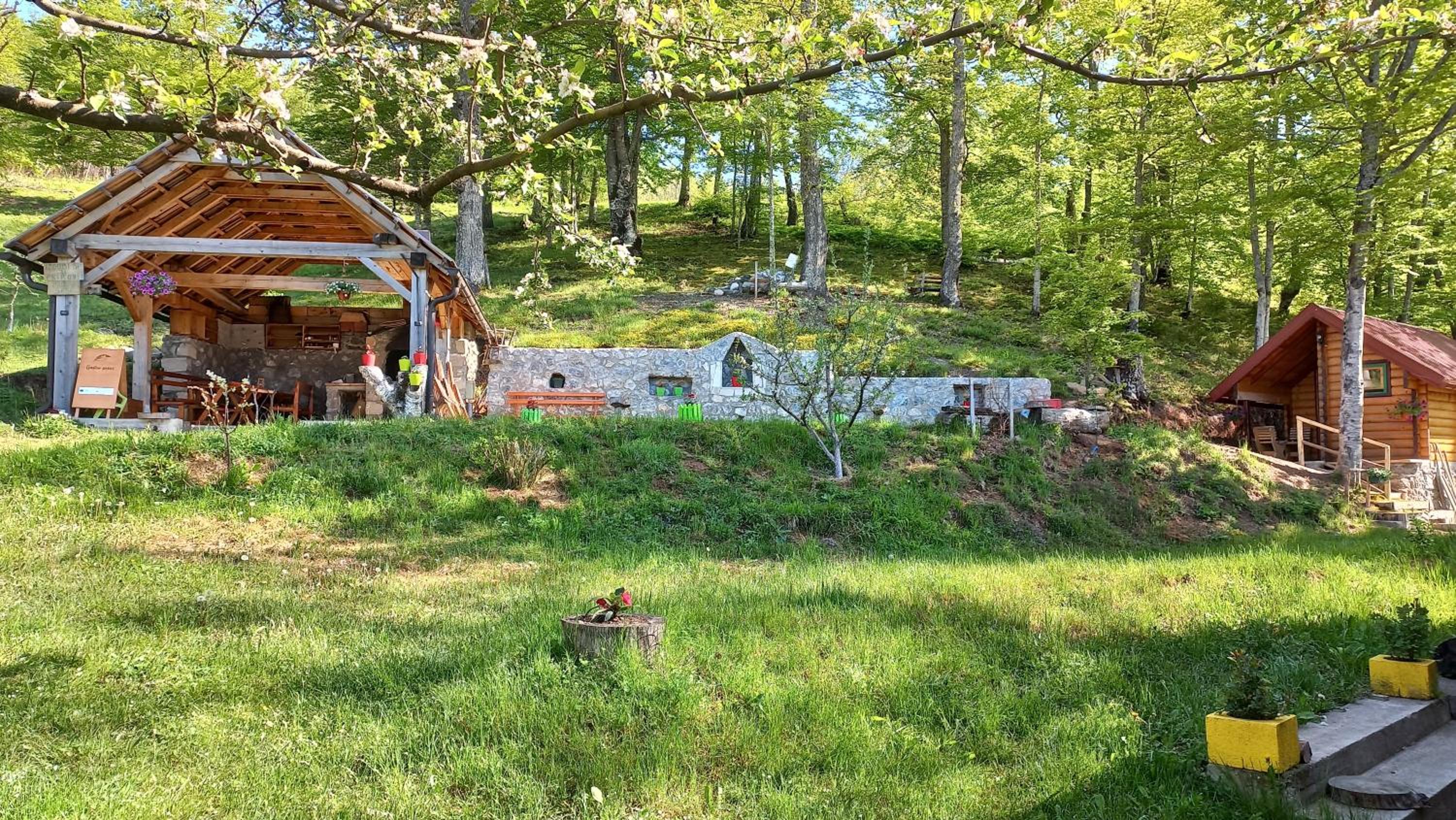 Photo 11
