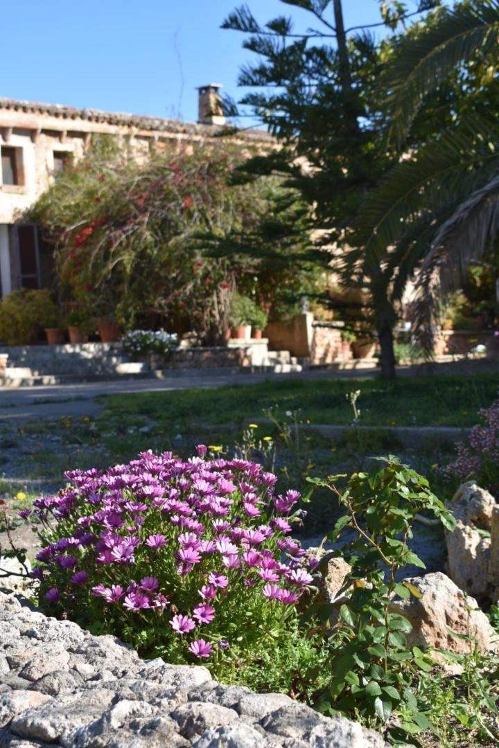 Finca Sa Cova Vella