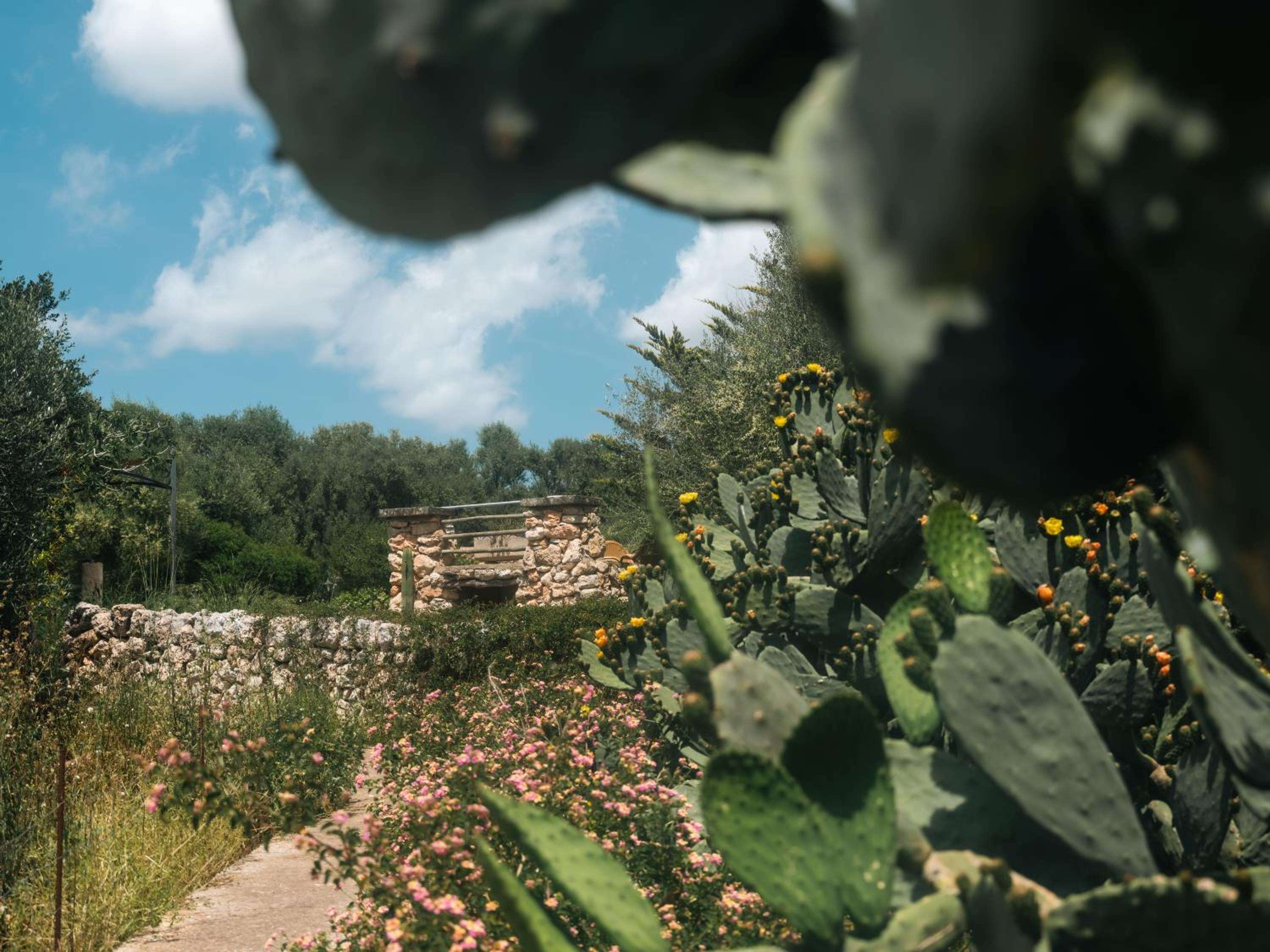 Finca Sa Cova Vella