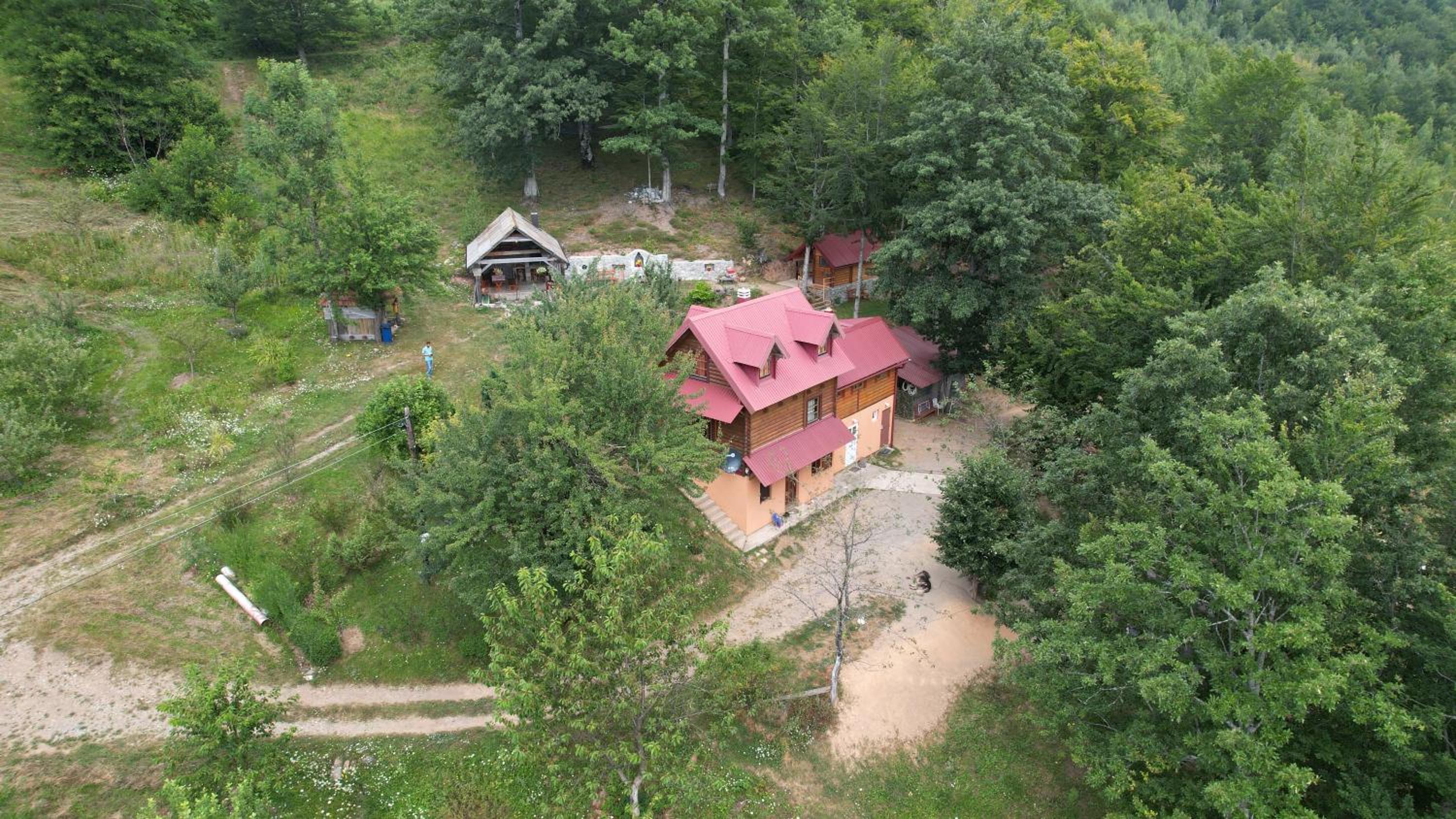 Photo 8