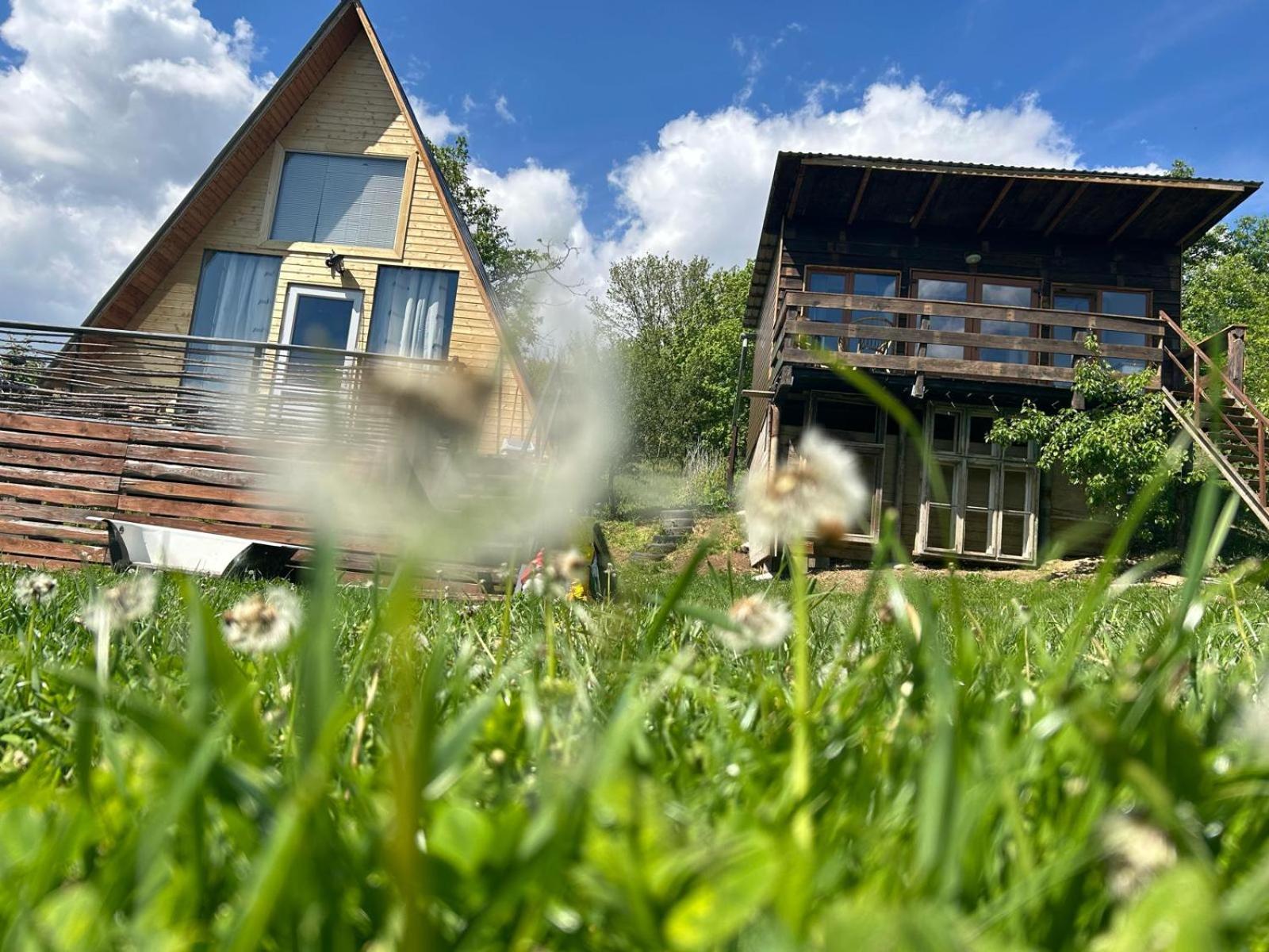 Cabana Samira Tășnad view 5