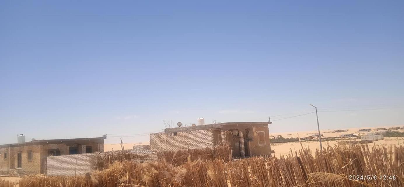 AmanShali