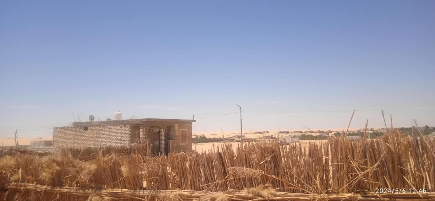 AmanShali