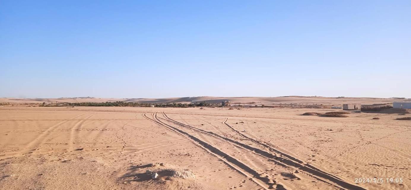 AmanShali