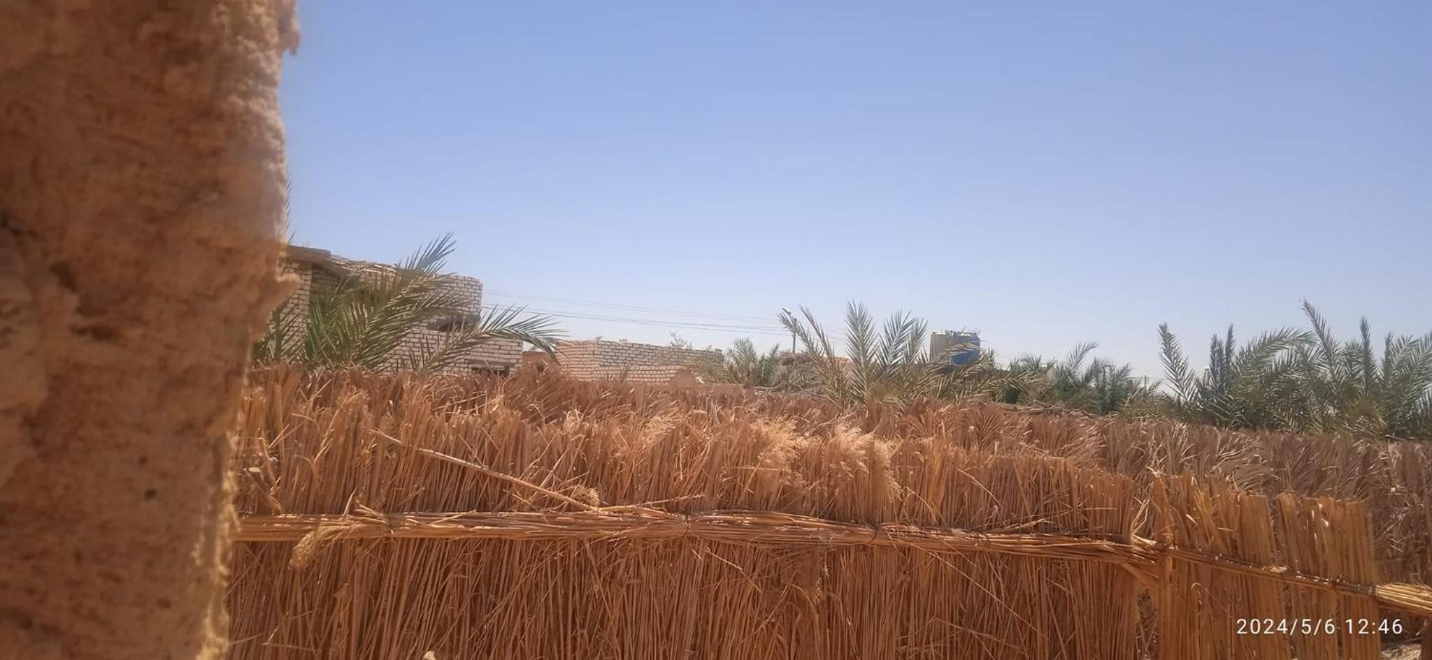 AmanShali