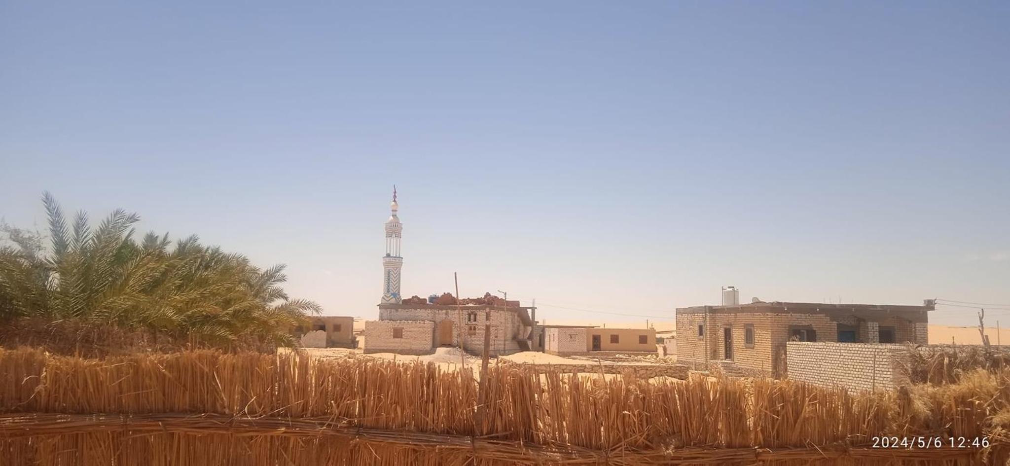 AmanShali