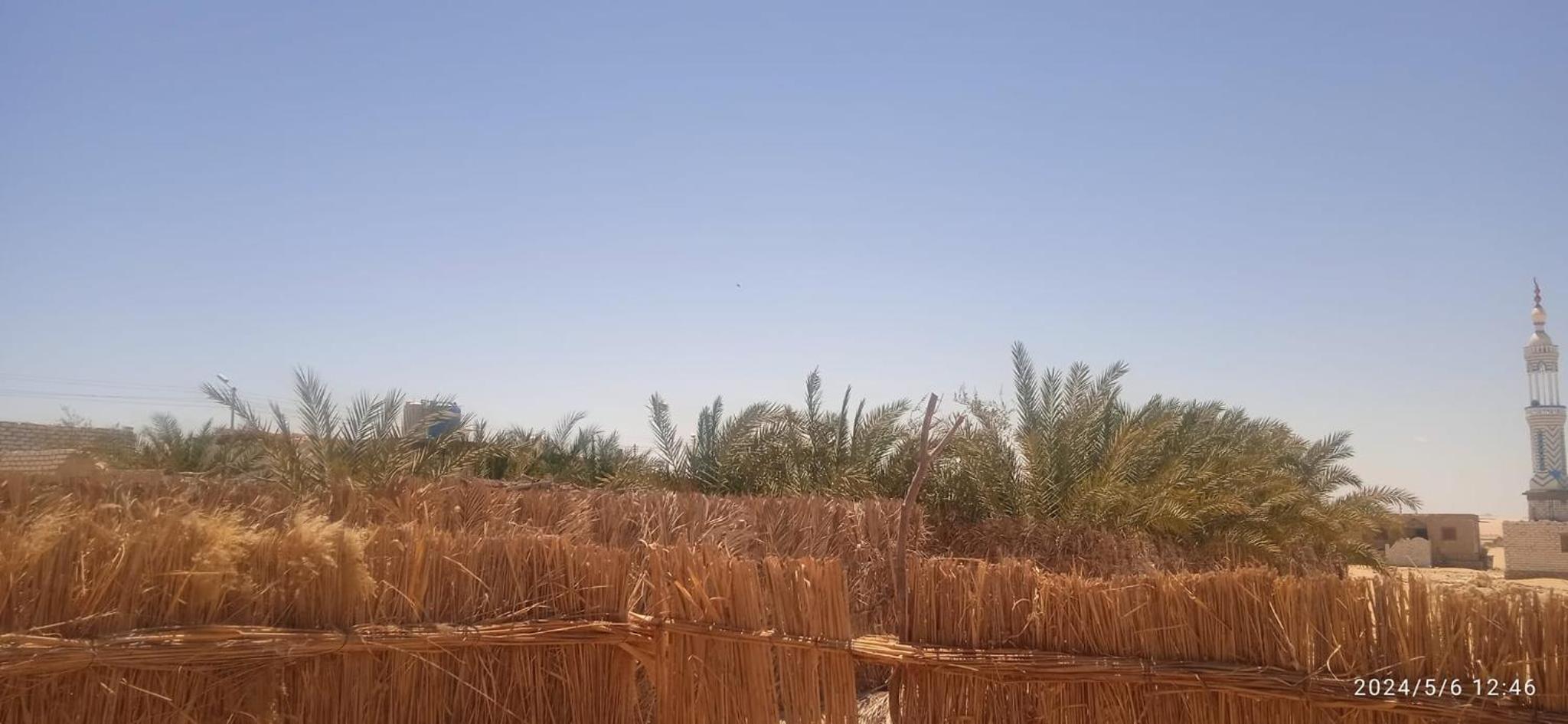 AmanShali