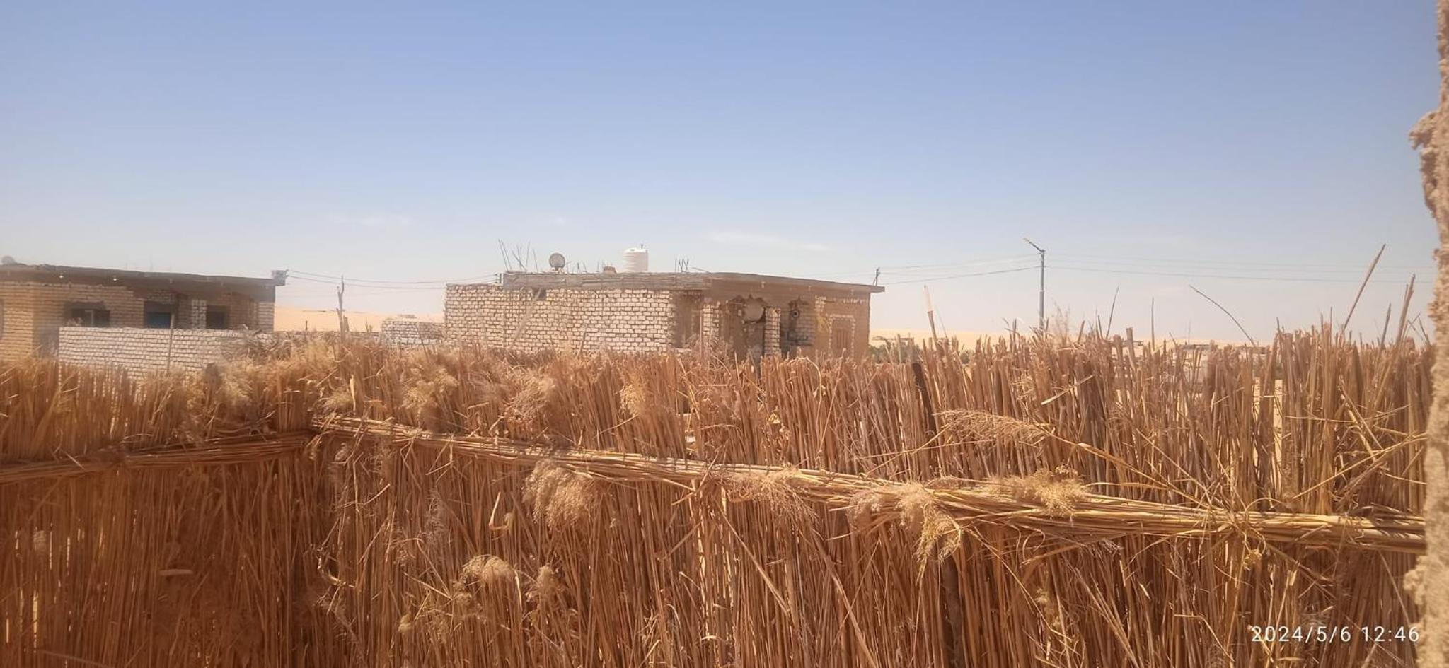 AmanShali