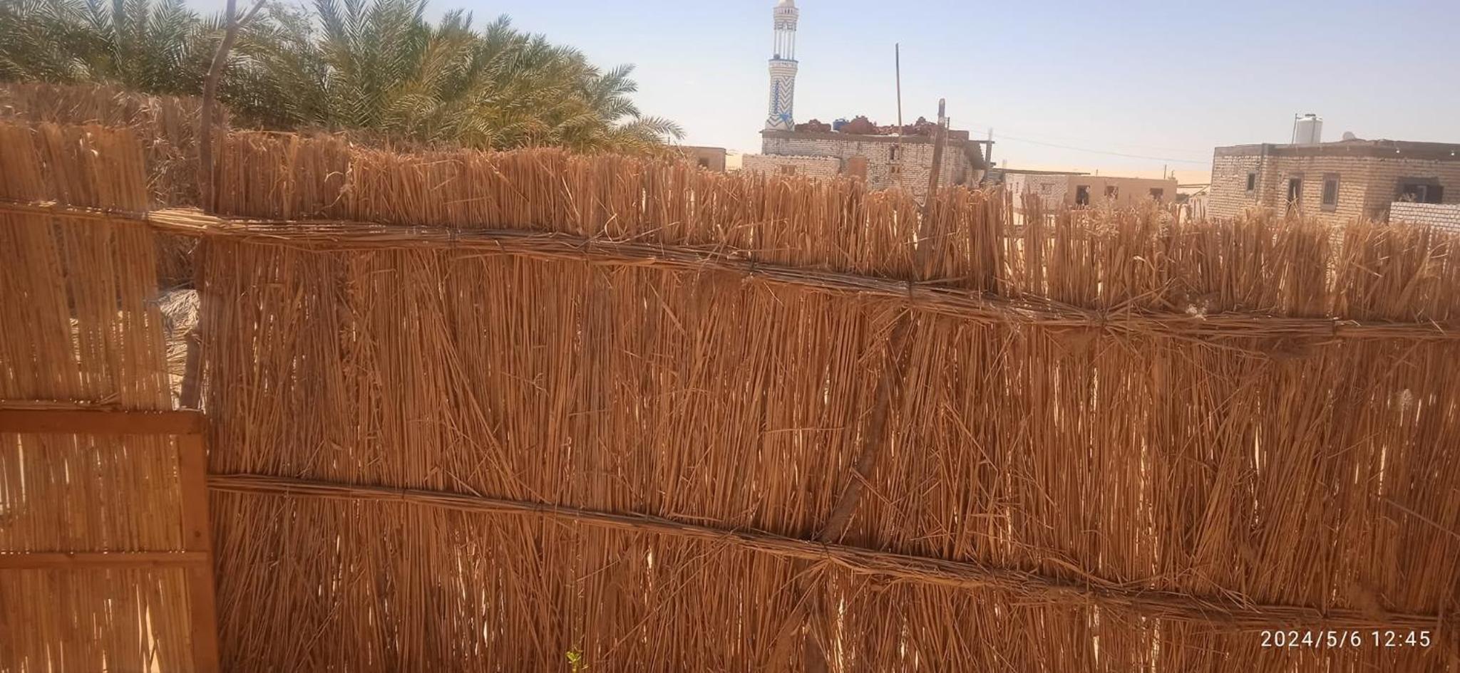 AmanShali