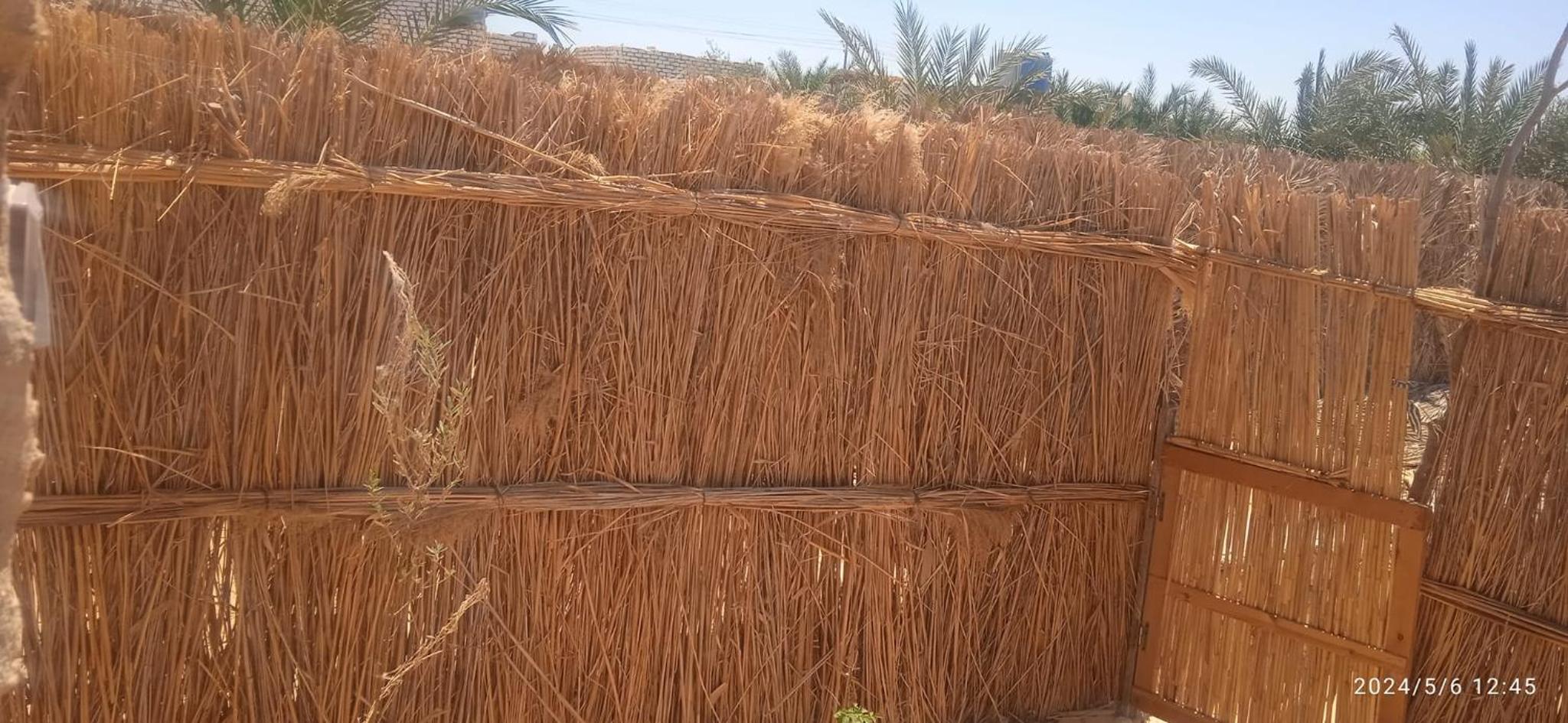 AmanShali