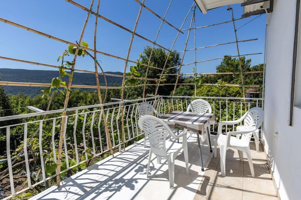 Rural apartment Radman view 5