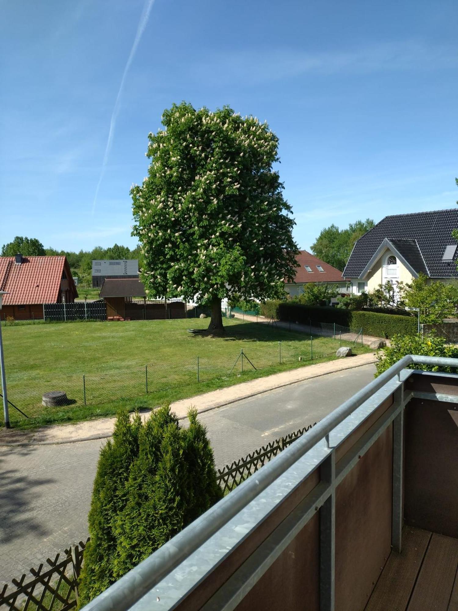 Ferienhaus Rechlin See
