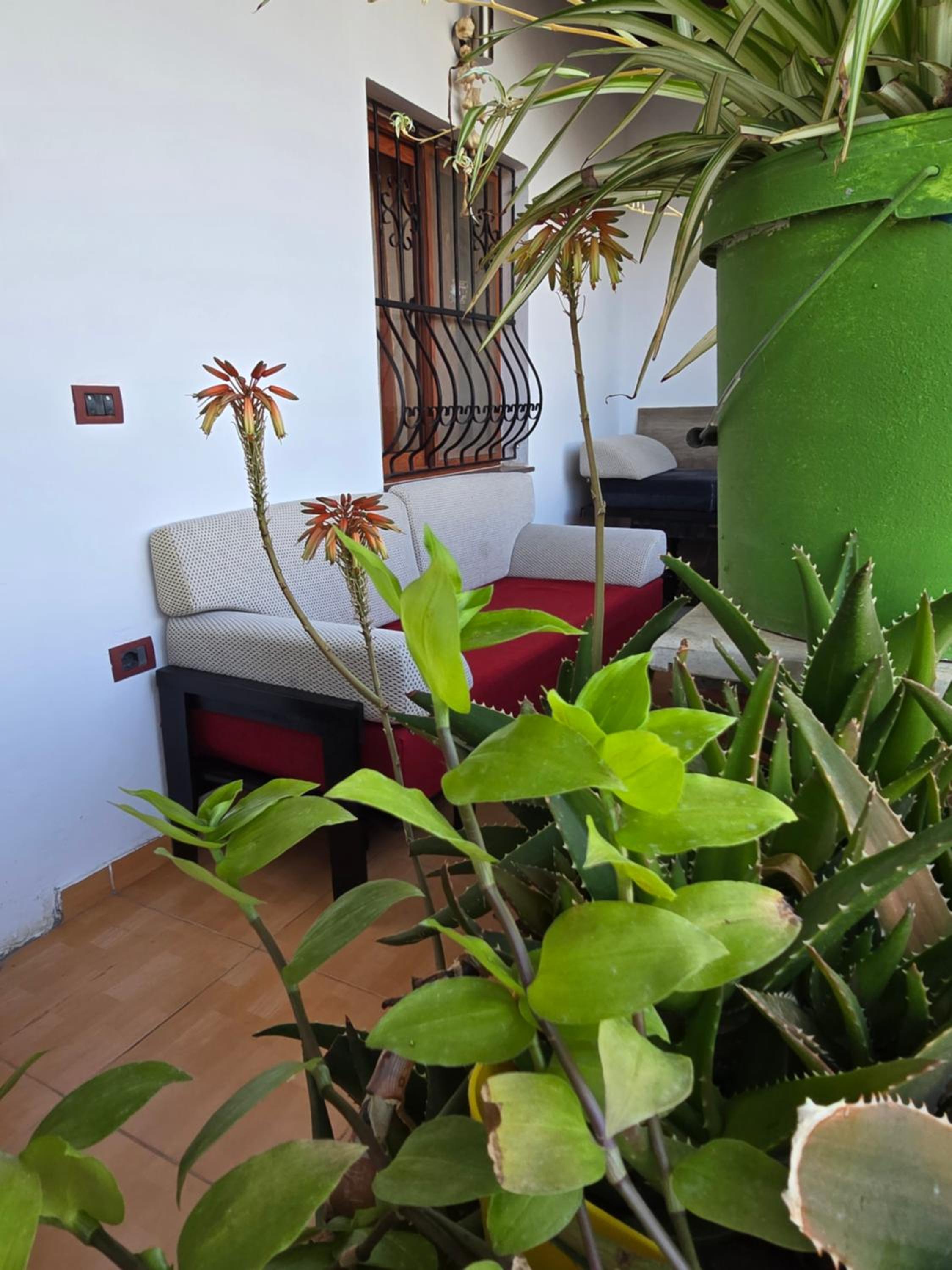 Eni's Villa, 5km From Shengjini Beach photo 2