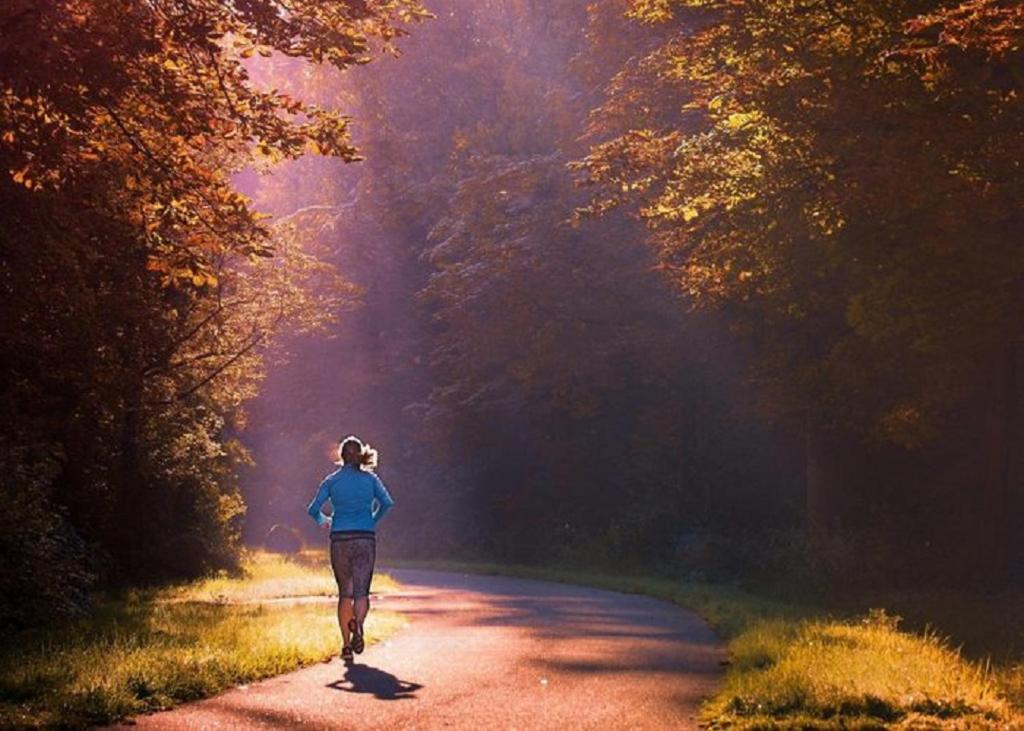 4-persoons Tiny Lodge view 2