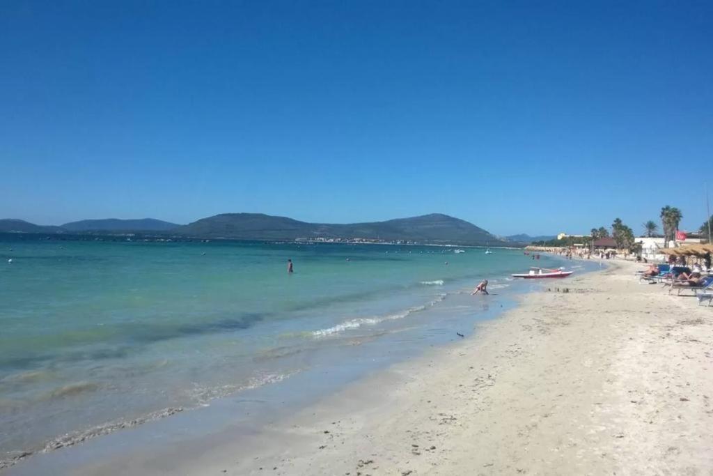 Trilo Agostino 1 view 3