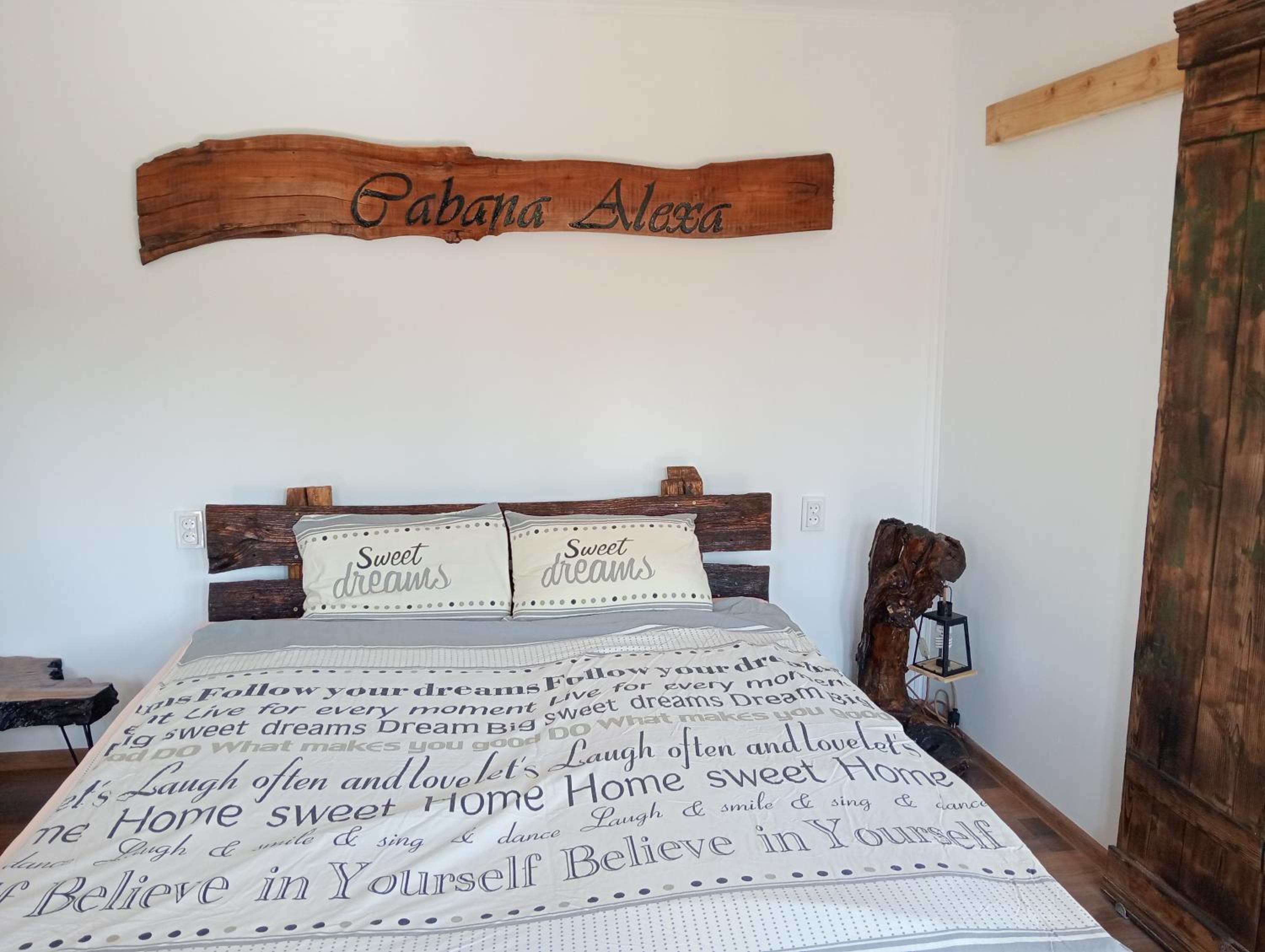 Cabana Alexa Tășnad view 4