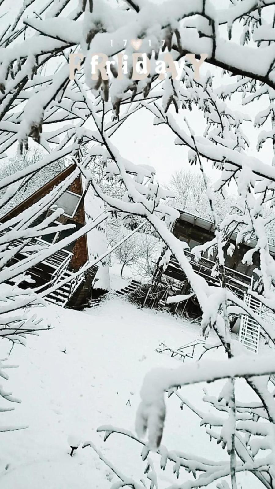Cabana Alexa Tășnad view 3