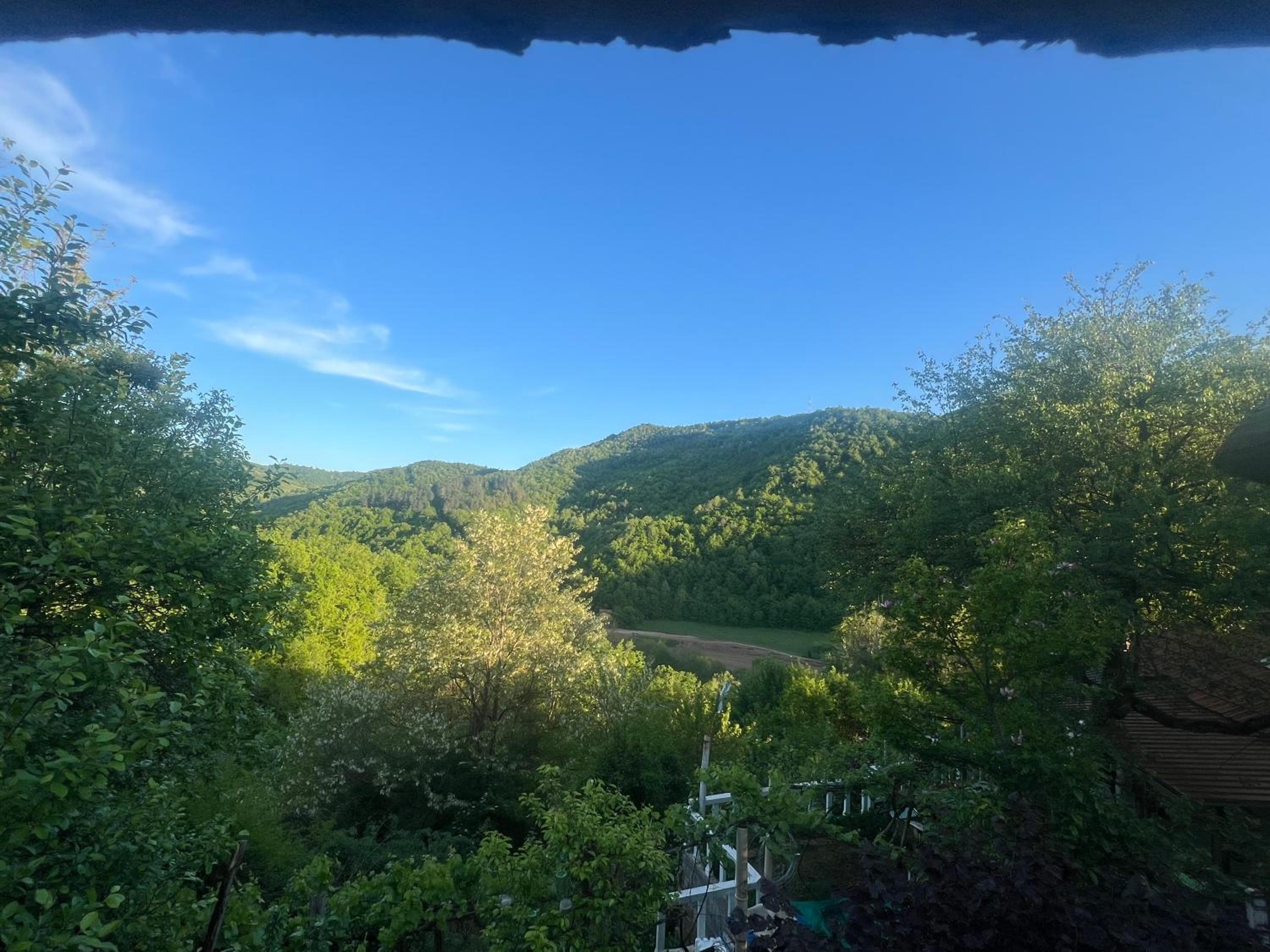 Milić apartmani 1 view 2