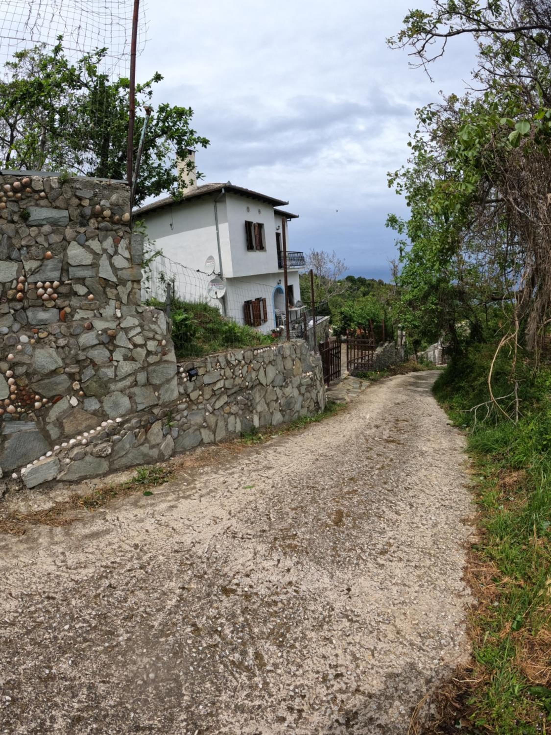 Photo 41