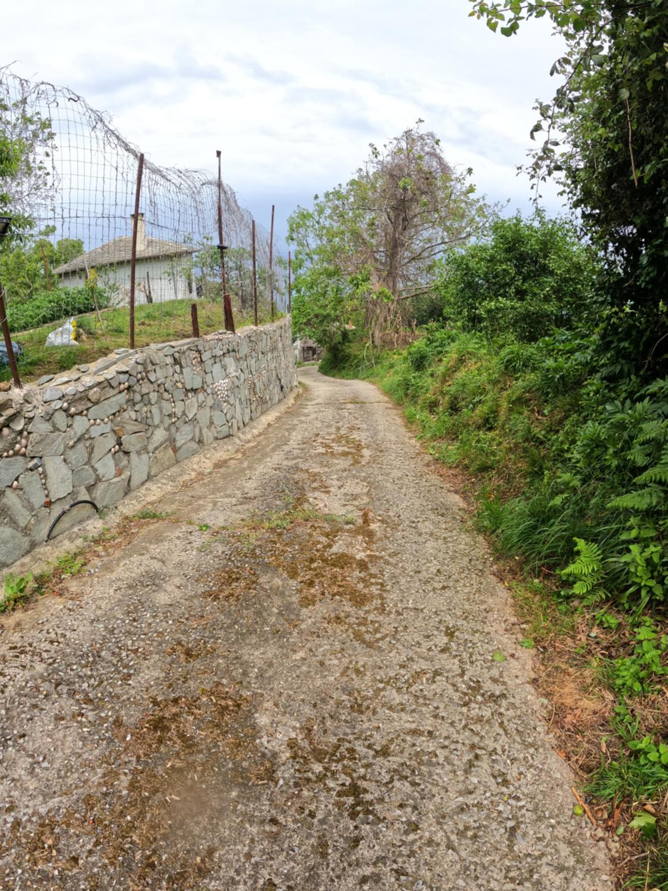 Photo 40