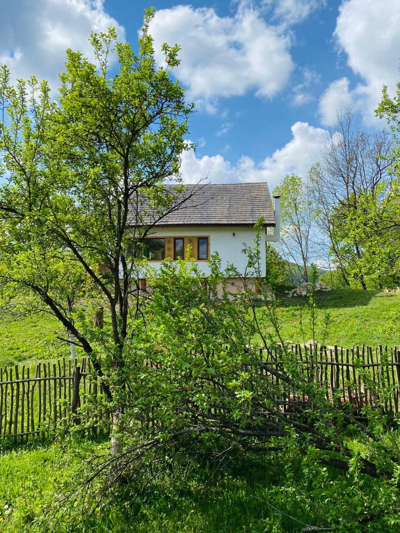 Photo 44