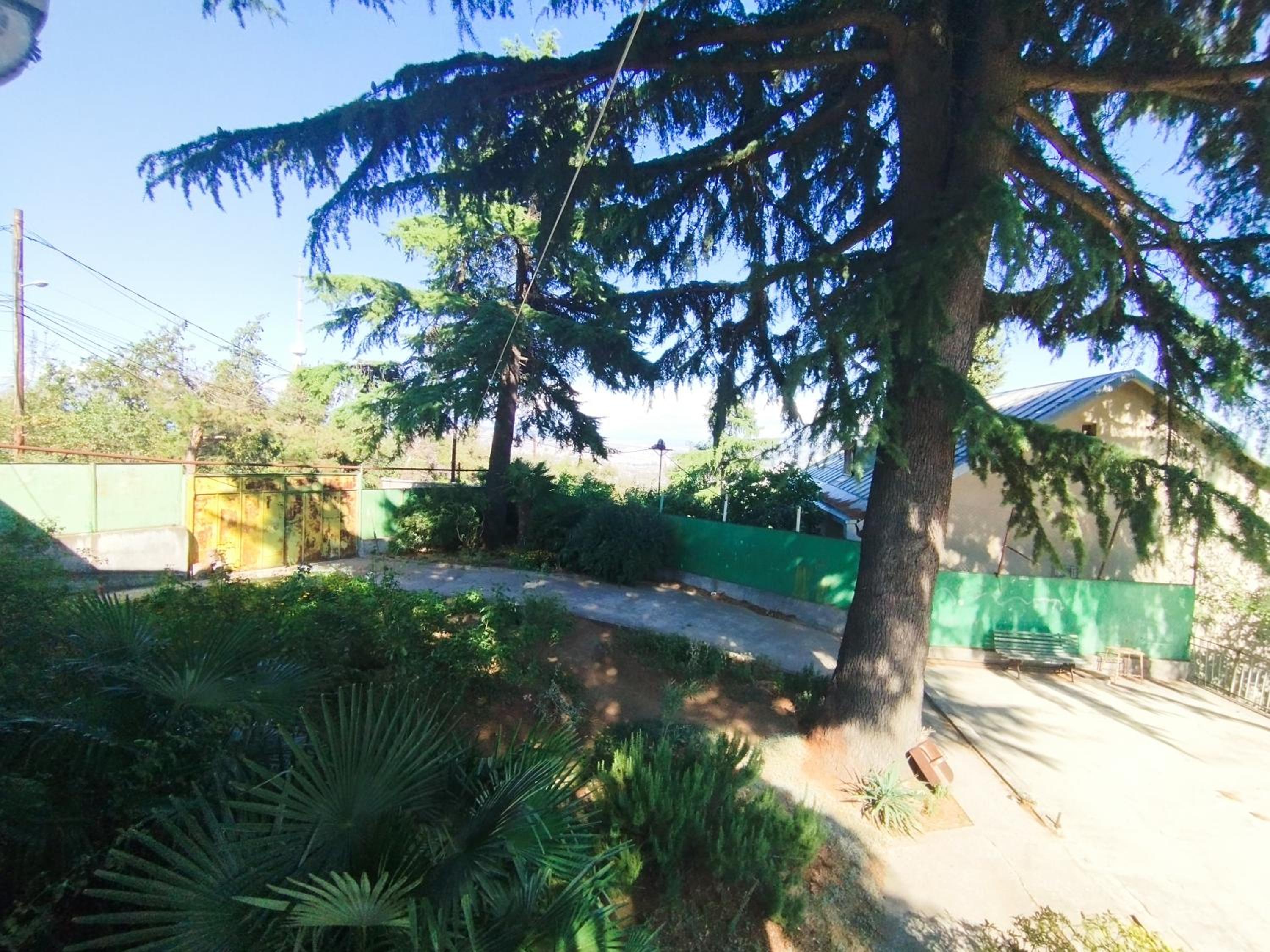 Photo 19