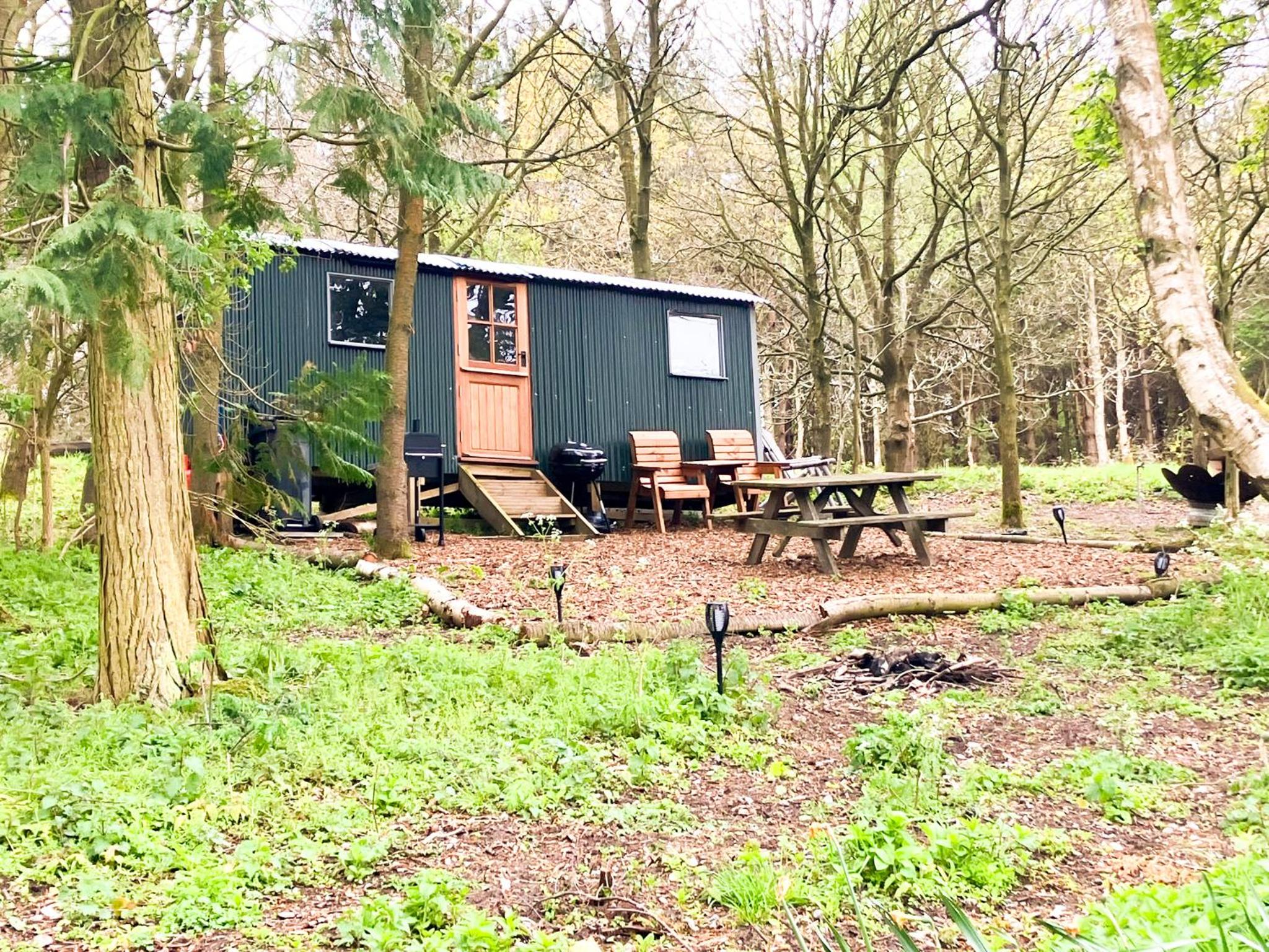 Holt Woodland Glamping - Shepherd Huts & Yurts Dog Friendly view 5