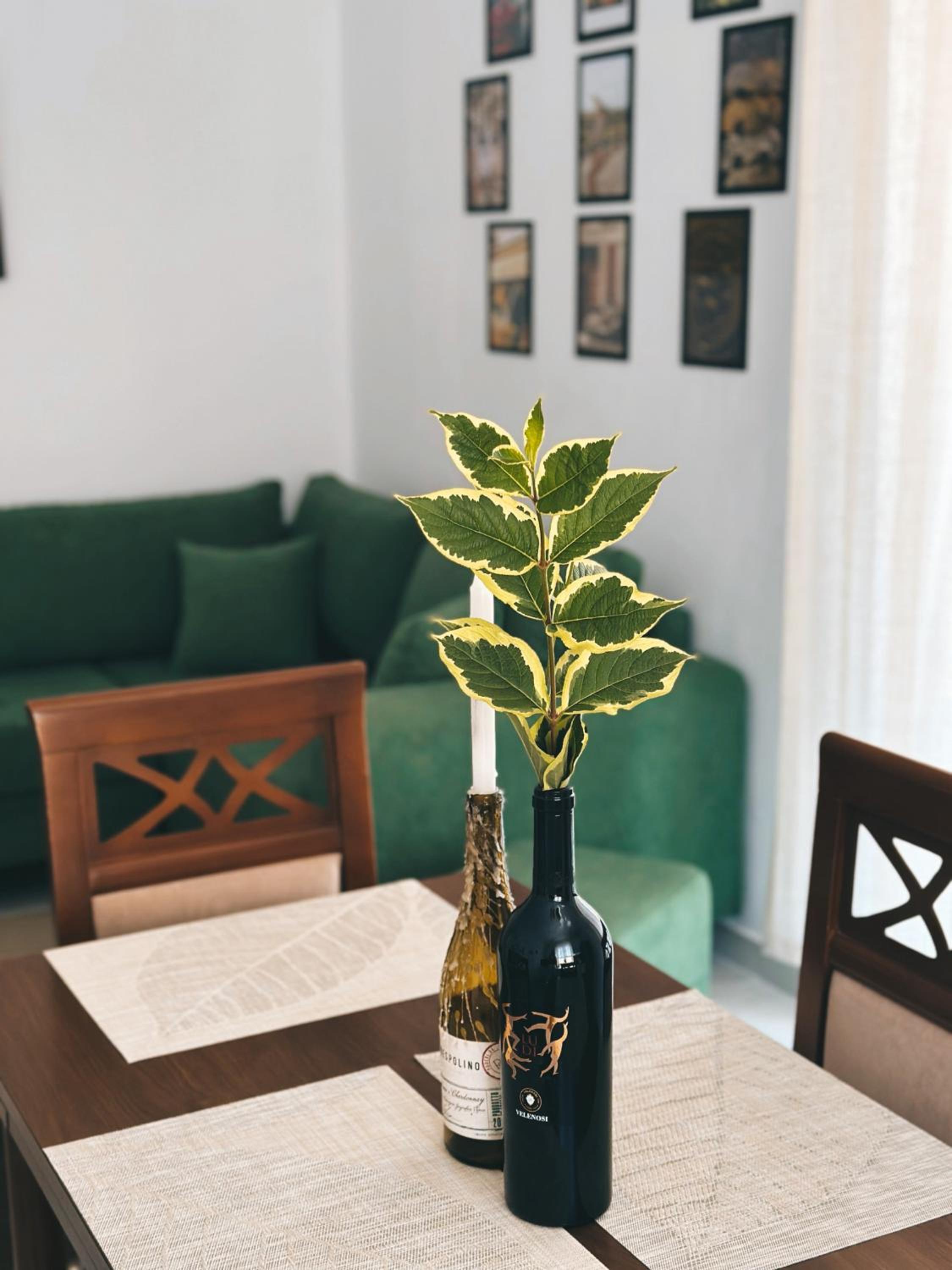Js House Shkoder 3