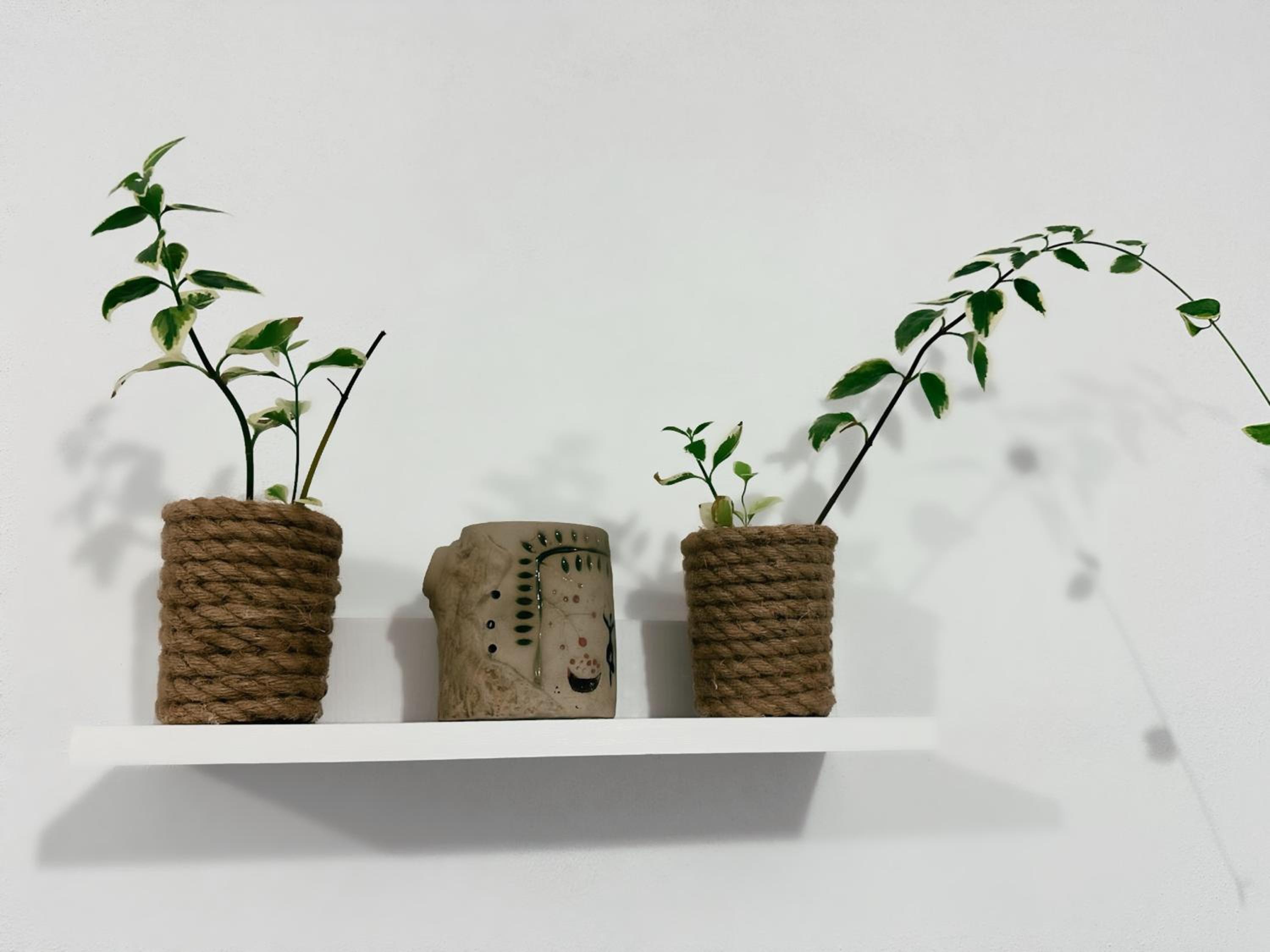 Js House Shkoder 3 photo 5