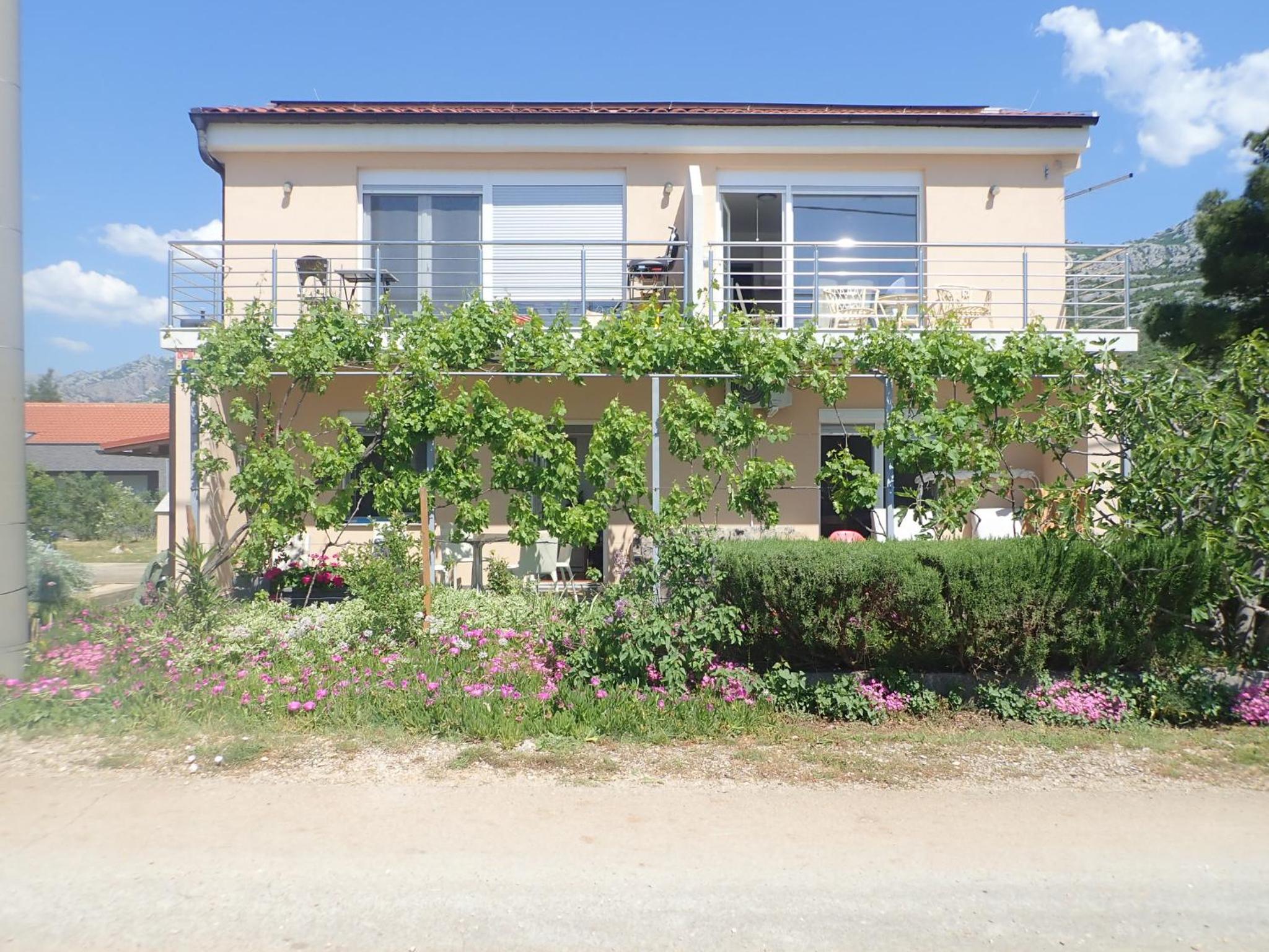 Apartman Morjani