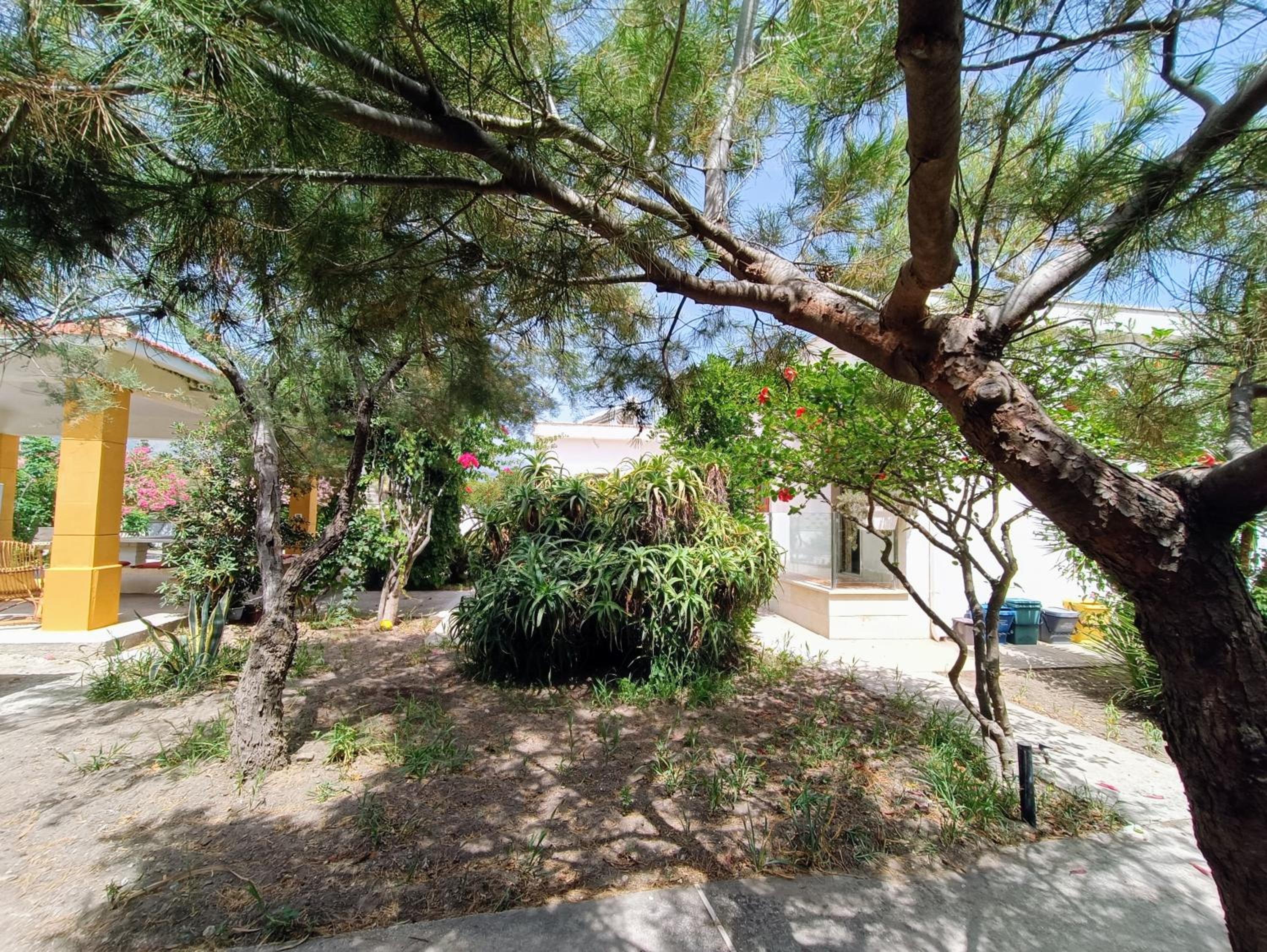 Photo 43