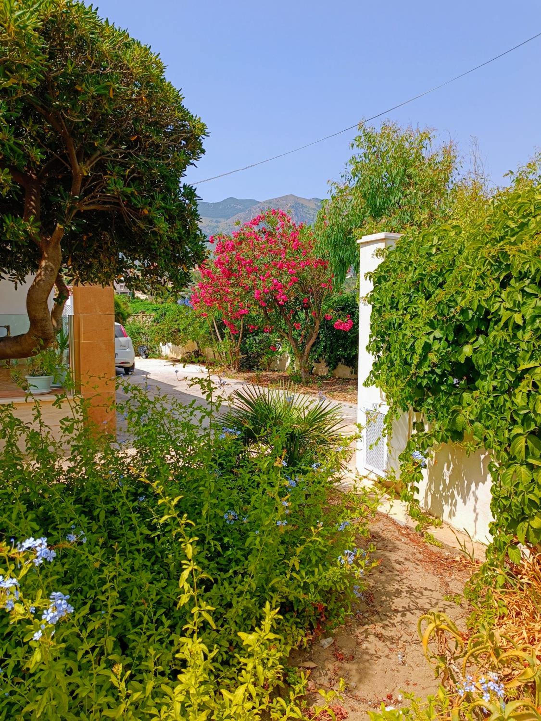 Photo 41