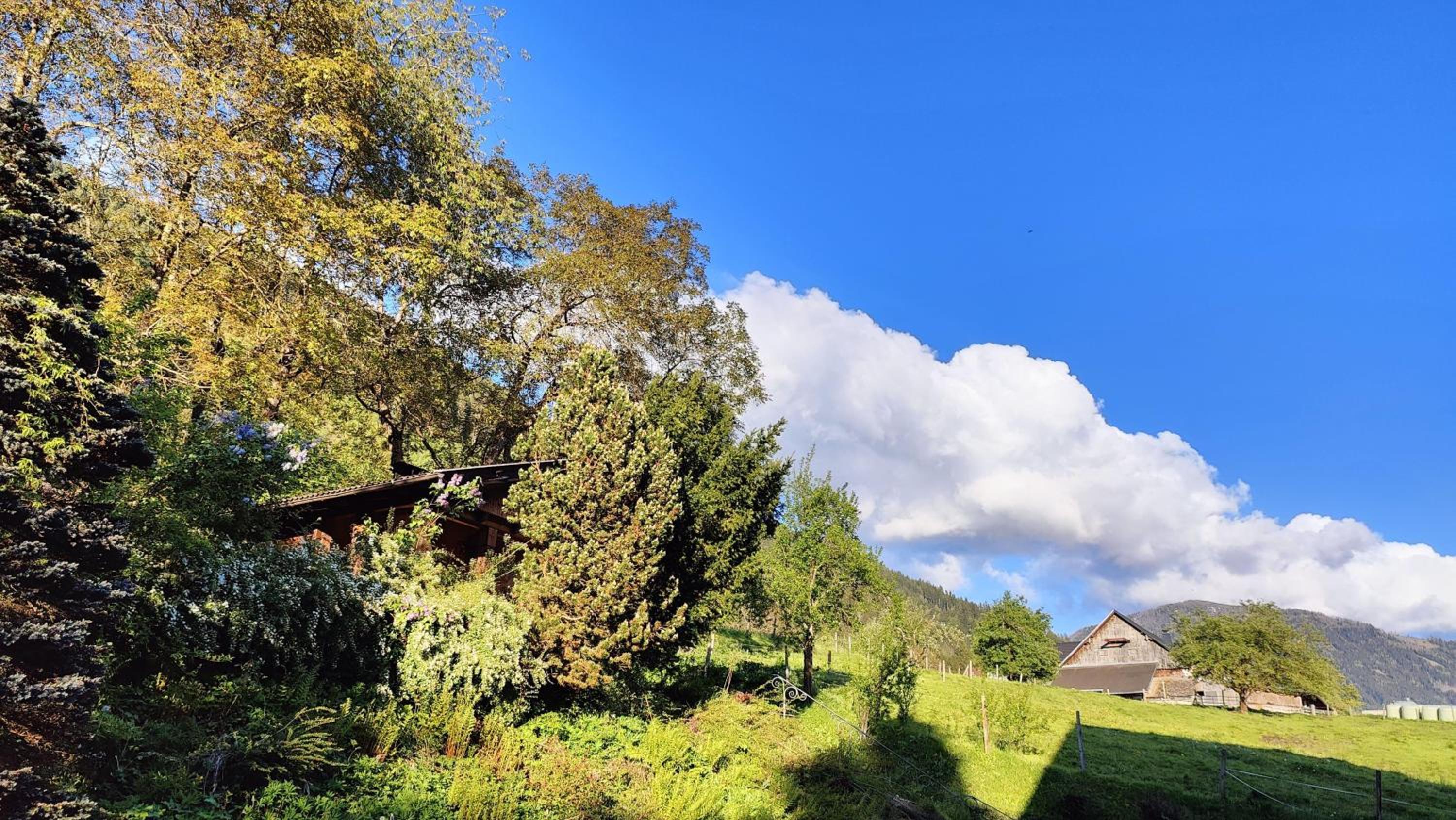 Moderne-Ferienwohnung-nur-1km-vom-Millstaetter-See-in-Kaernten-entfernt view 2