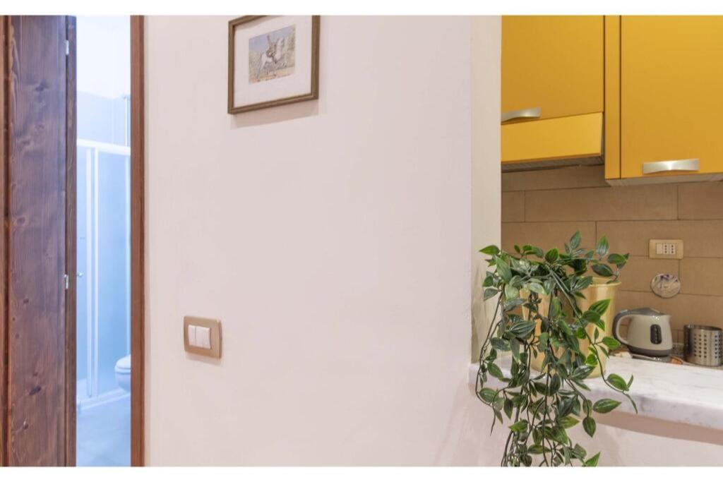 Vintage Apartment in Florence