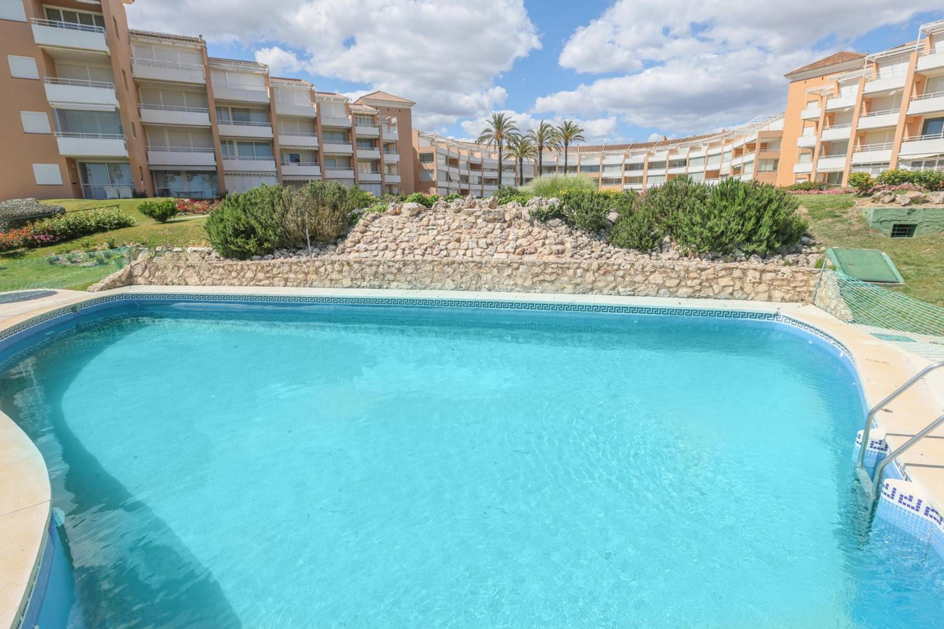 Las Americas photo 2