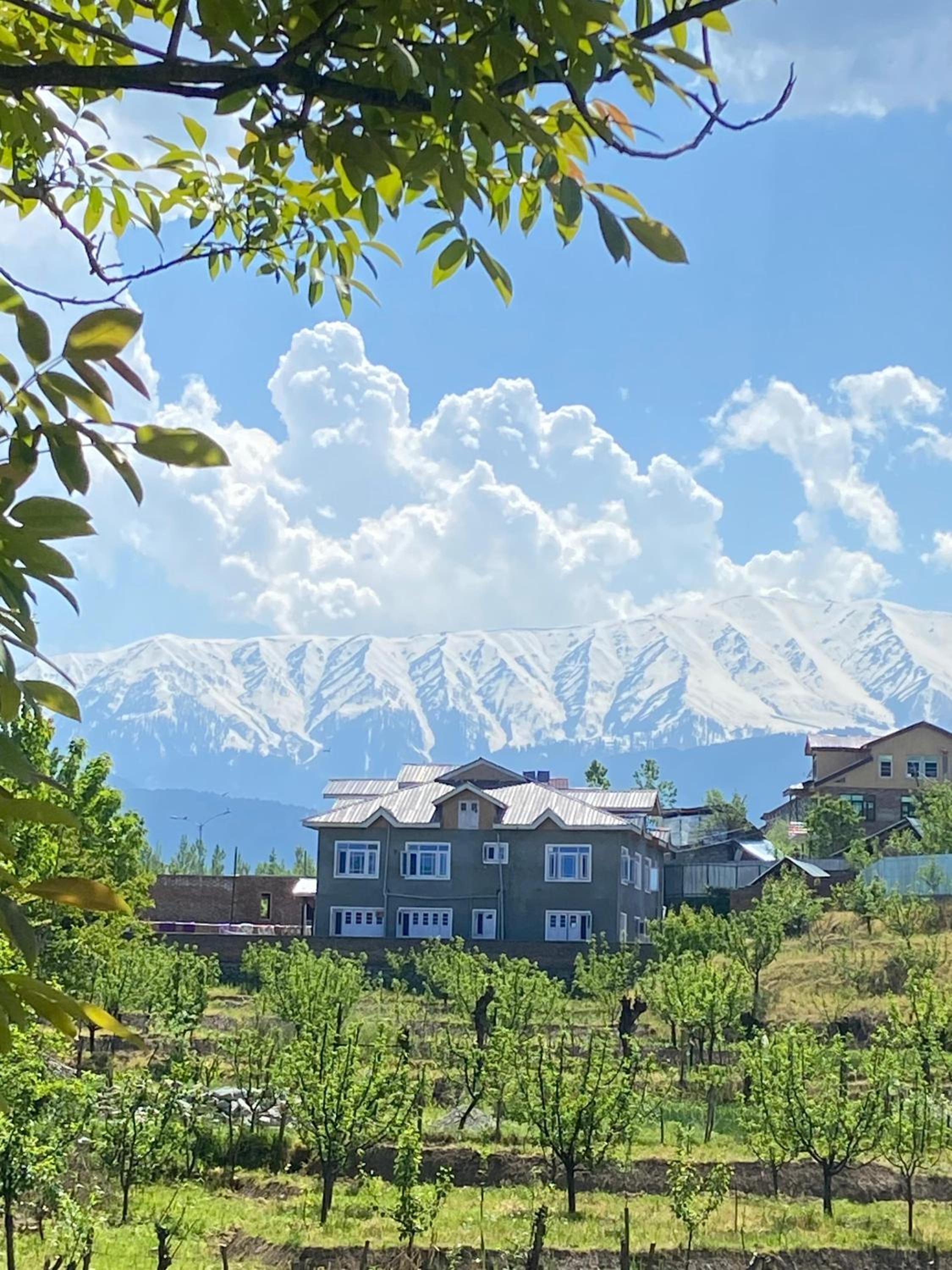 THE GULMARG PALACE view 4